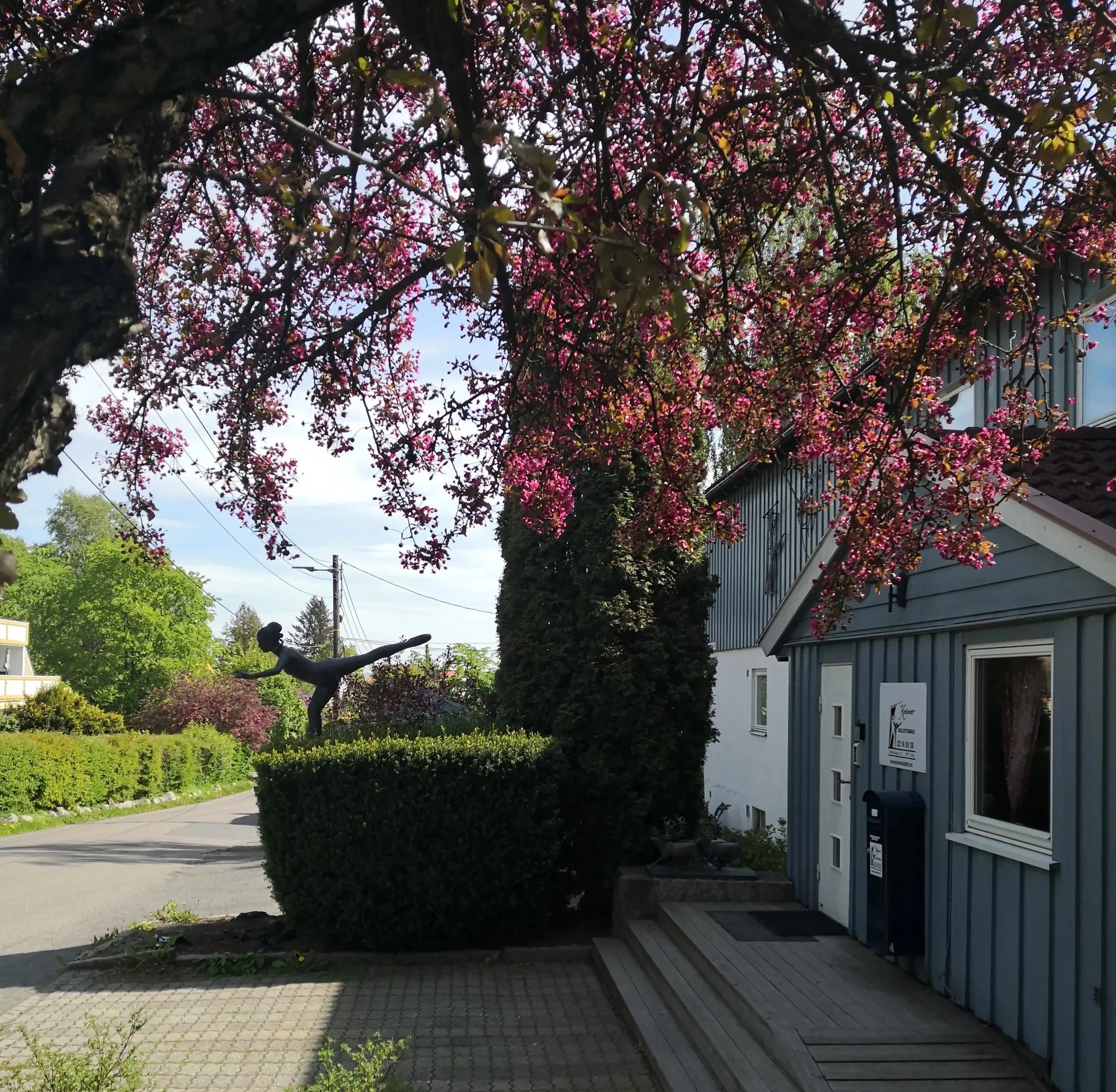 Dans og Trening for Voksne og seniorer i Oslo