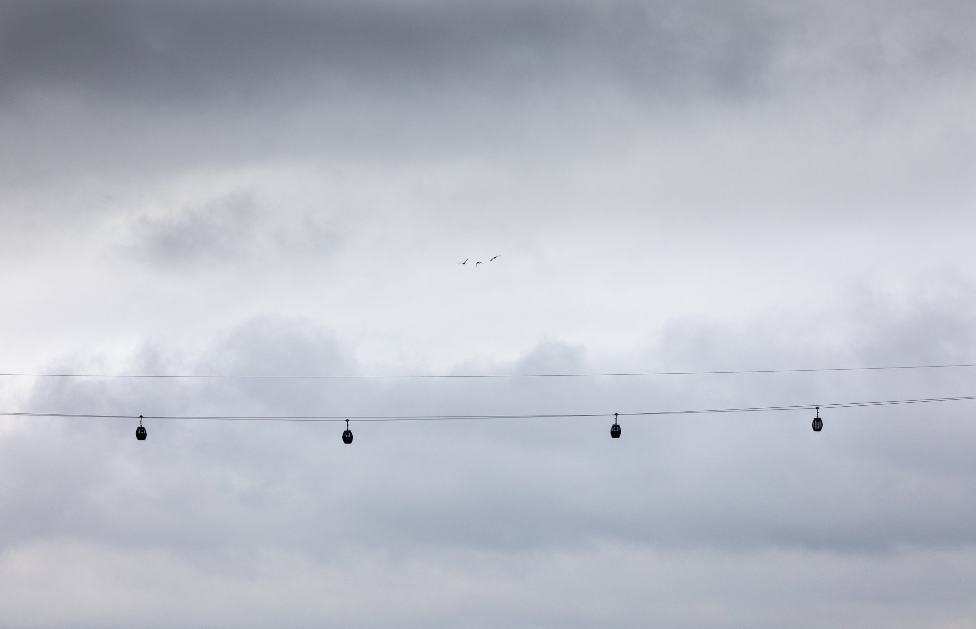 ifs-cloud-cable-cars-greenwich-london-birds.jpg