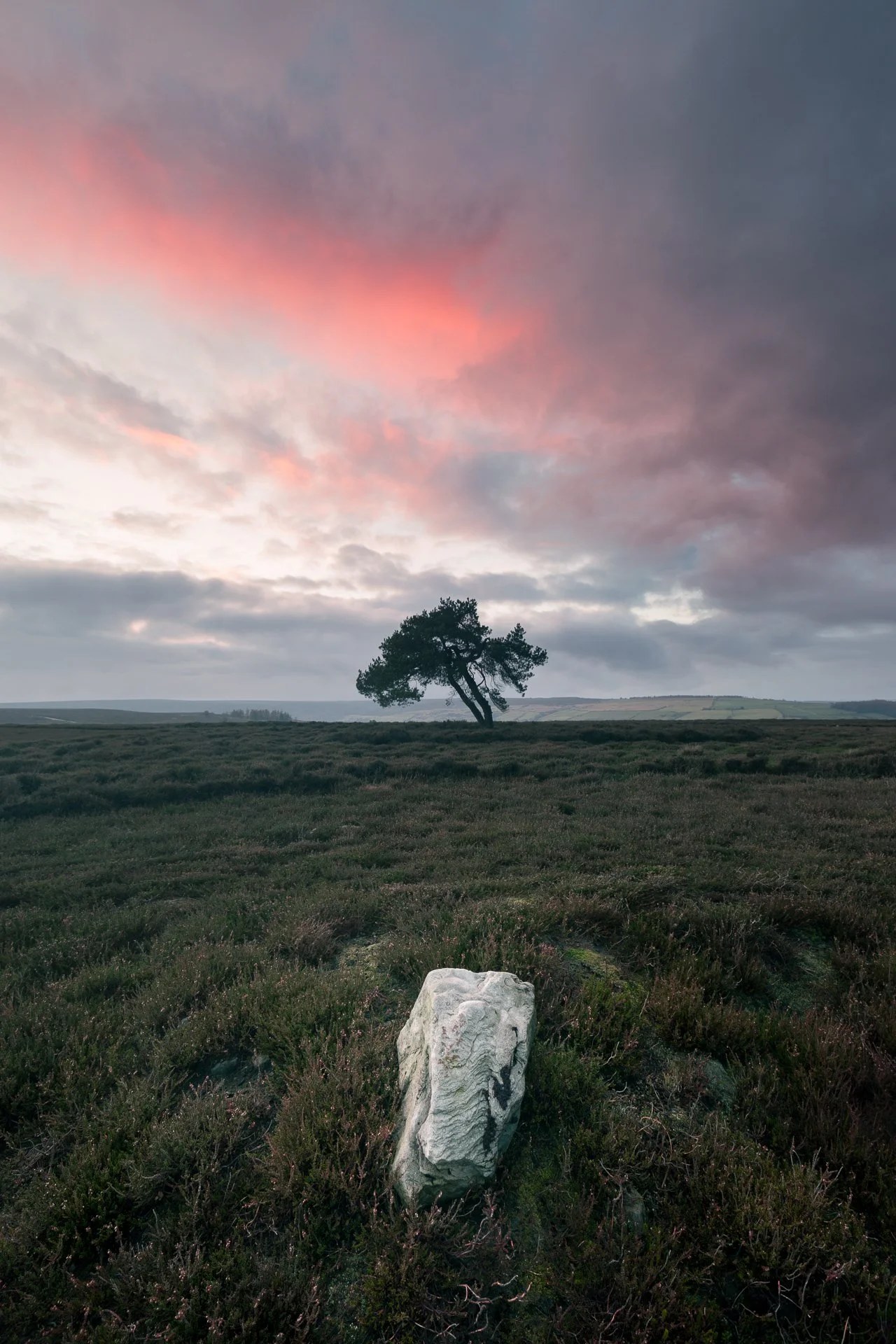 lone-tree-sunset-north-york-moors-national-park-england-Edit.jpg