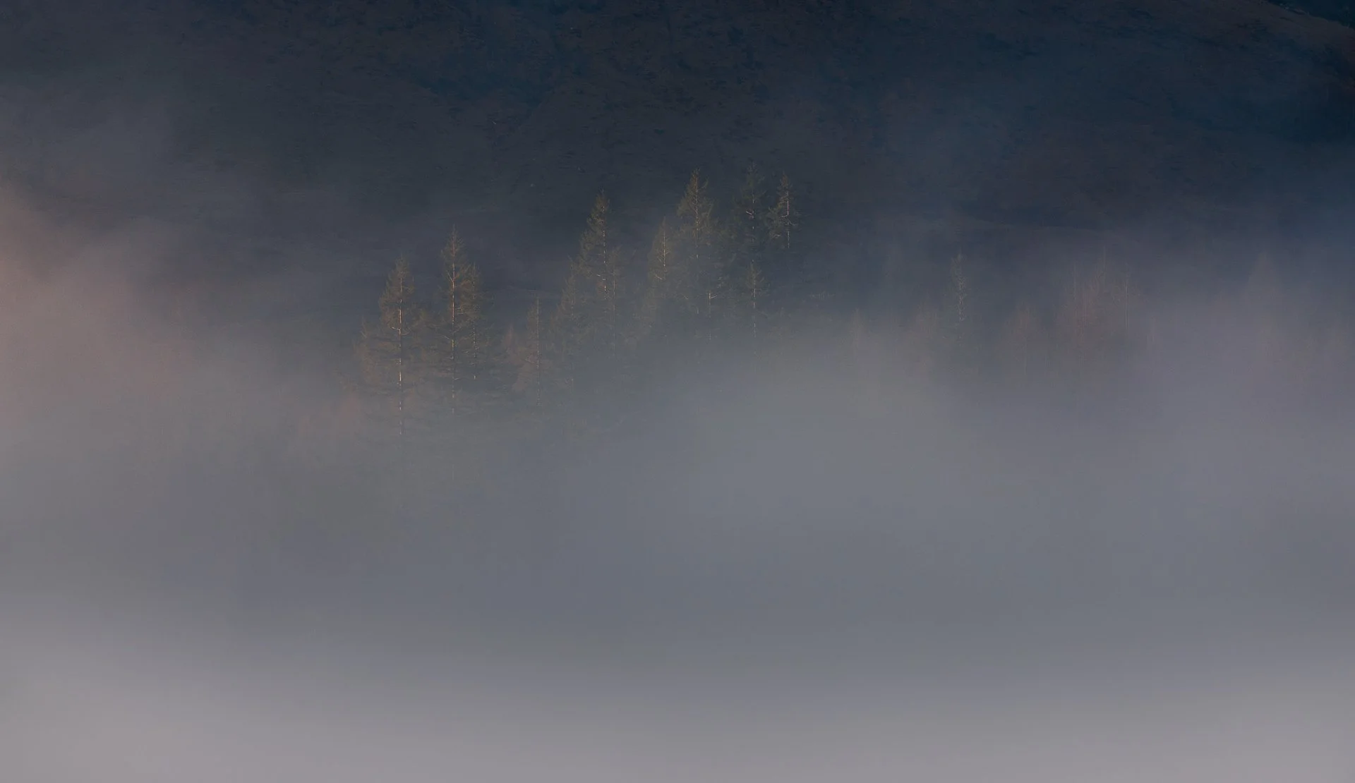 trees-morning-fog-glencoe-scottish-highlands-scotland.jpg