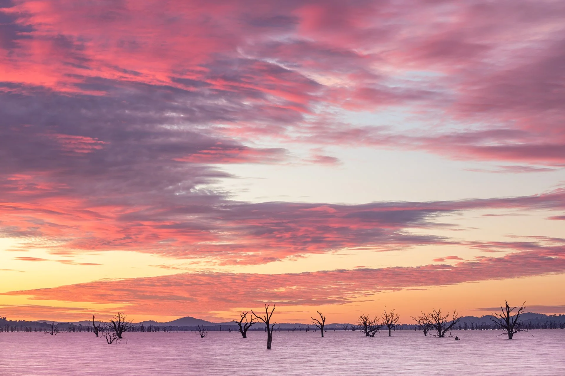 dead-trees-sunset-lake-hume-victoria-australia.jpg