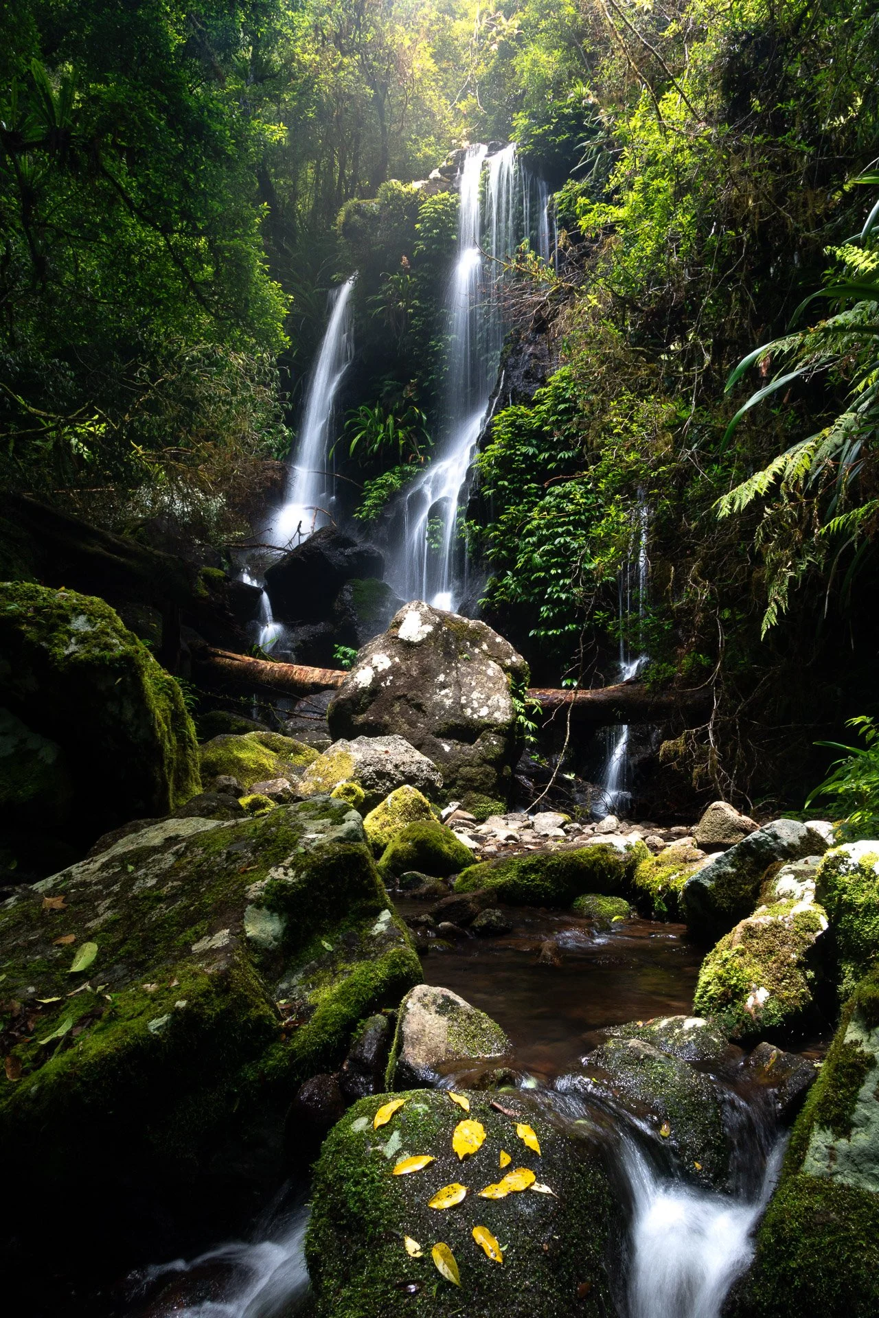 Chalahn-Falls-lamington-natinal-park-queensland-fine-art-print.jpg