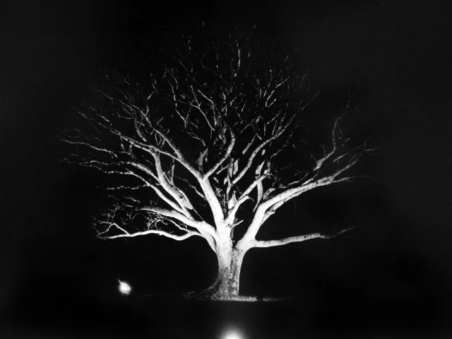 Photography by Adriana Lestido
