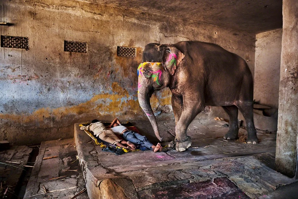 Photo by Steve McCurry