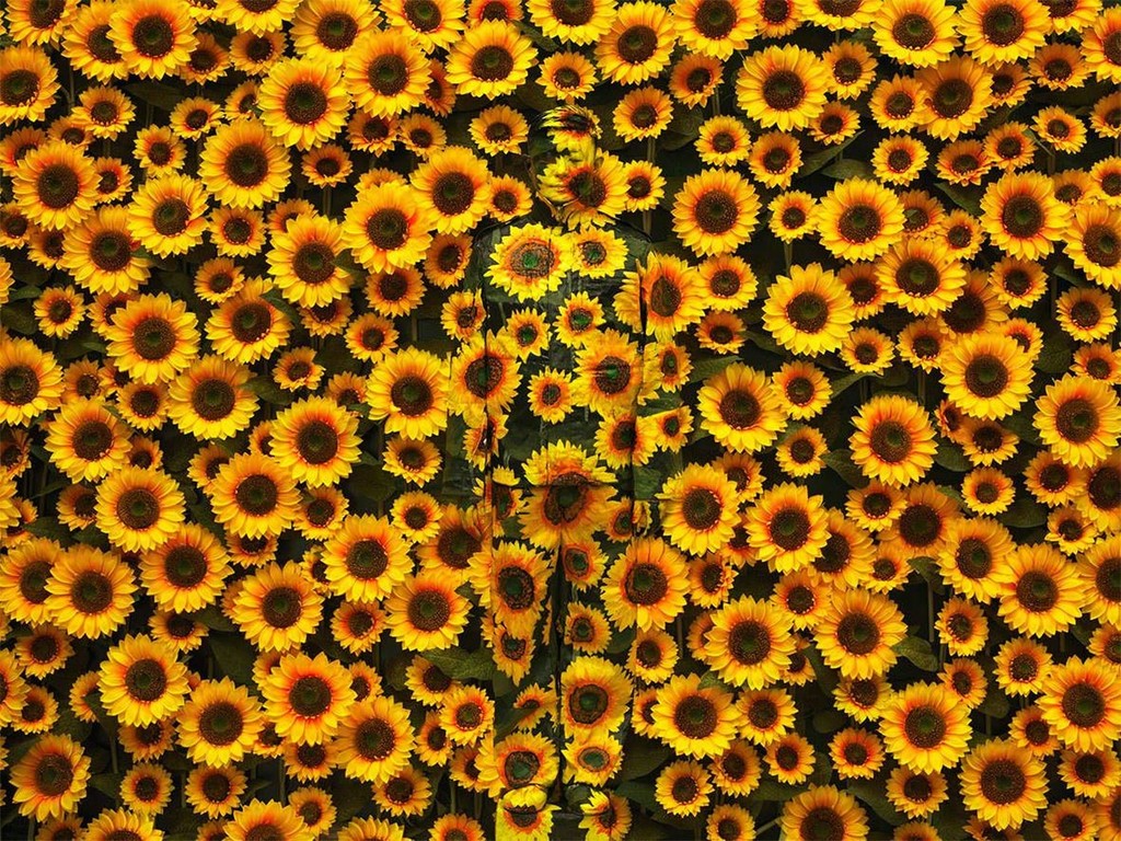 Photo by Liu Bolin