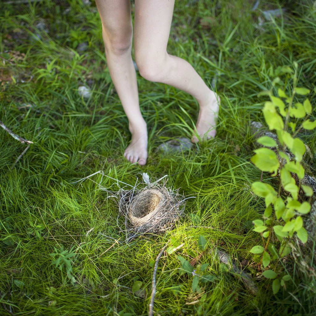 Photography by Cig Harvey