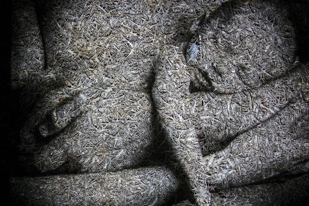 Photography by Eiton Vitkon