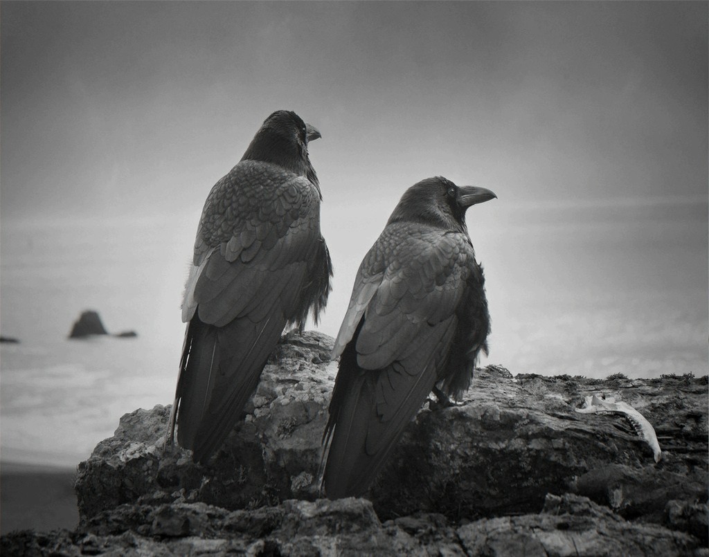 Photography by Beth Moon