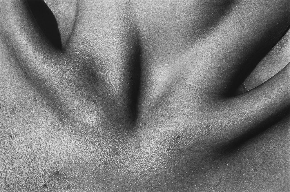 Photography by Jed Fielding