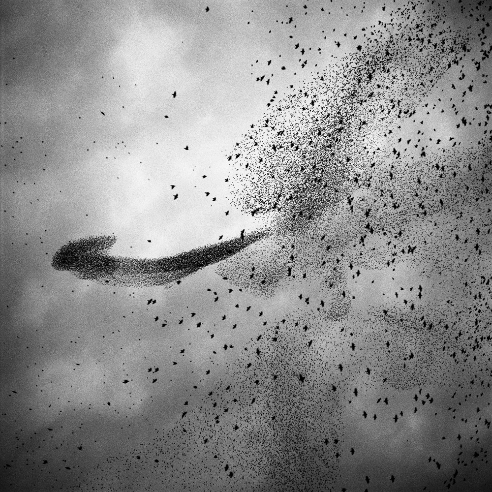 Photography by Paolo Patrizi