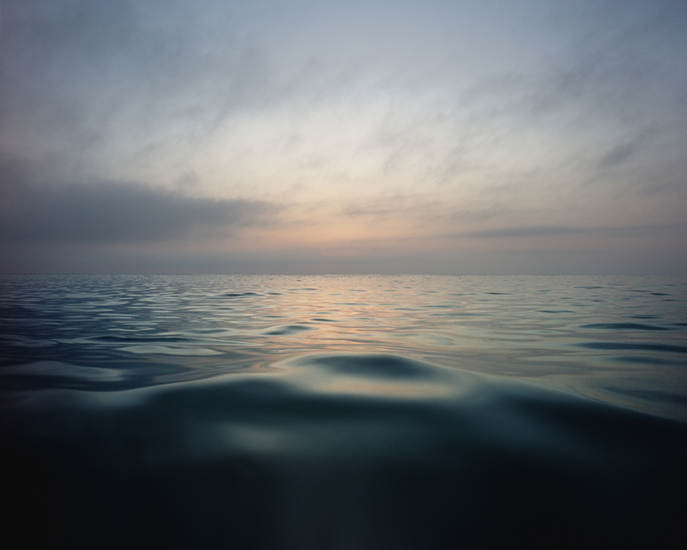 Photography by Andrea Hamilton