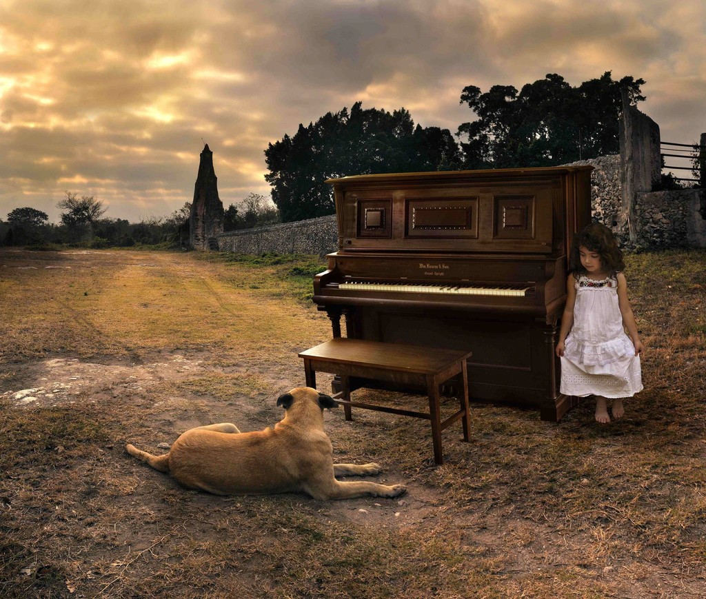 Photography by Tom Chambers