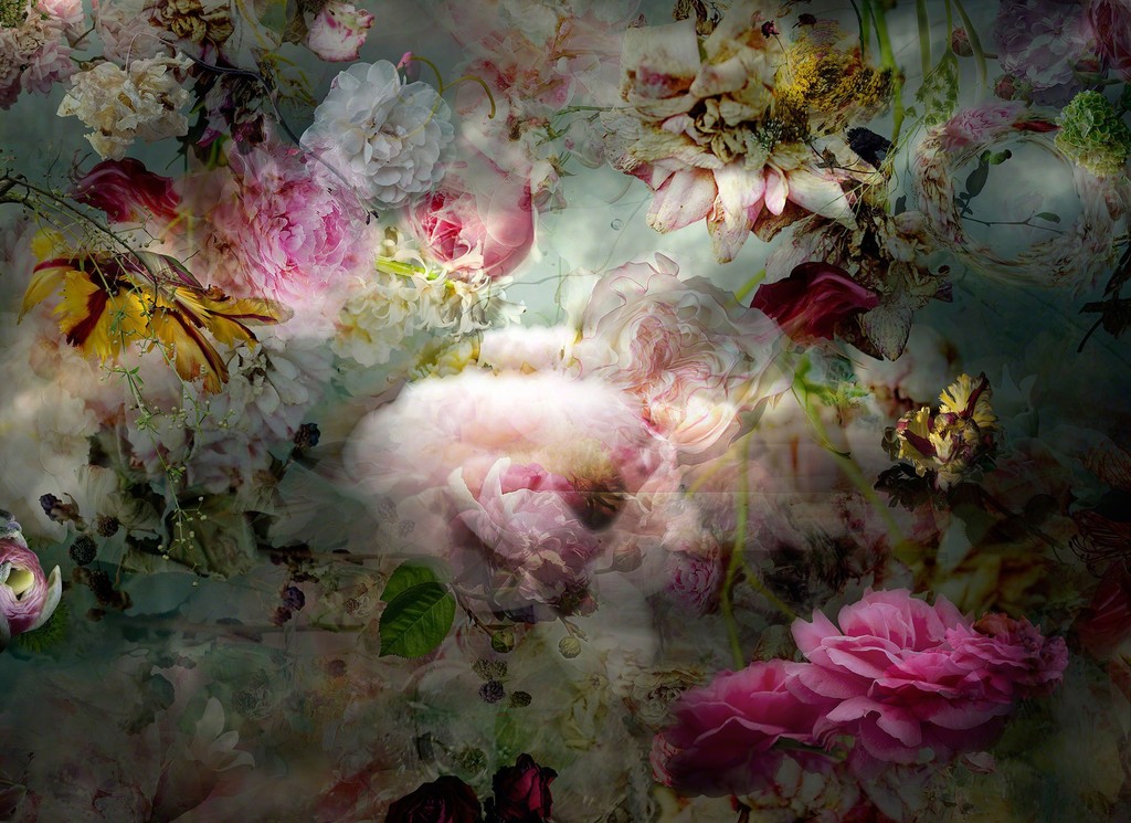 Photography by Isabelle Menin