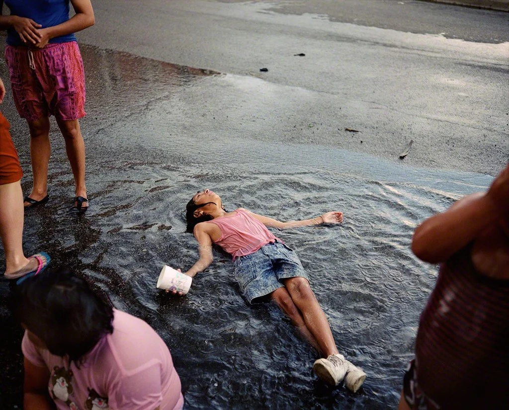 Photography by Paul D'Amato