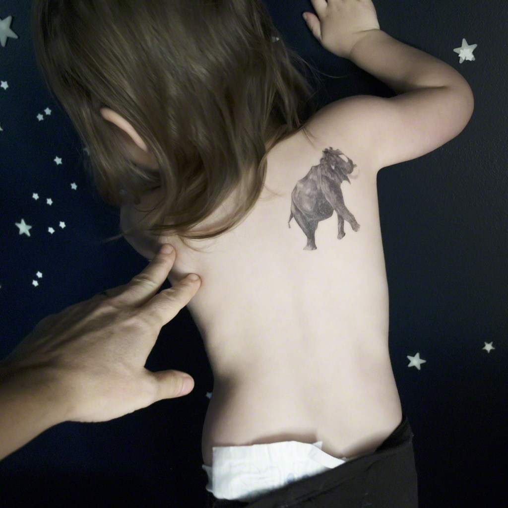 Photography by Cig Havrey
