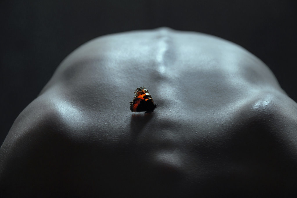 Photography by Elena Helfrecht