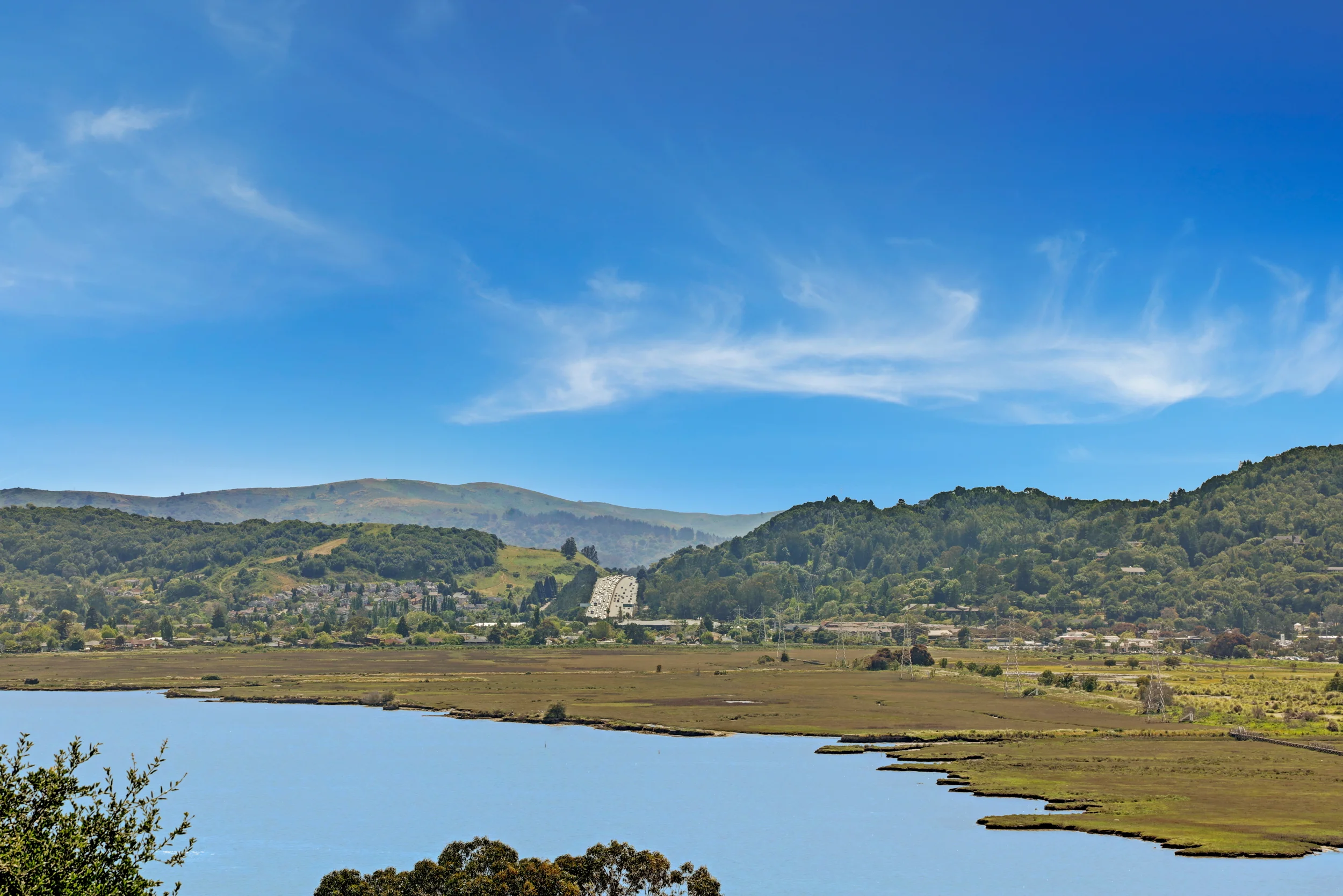 29 Drakes Cove Larkspur's Best Realtor 74 - Own Marin Pacific Union - Marin County's Top Realtor.jpg