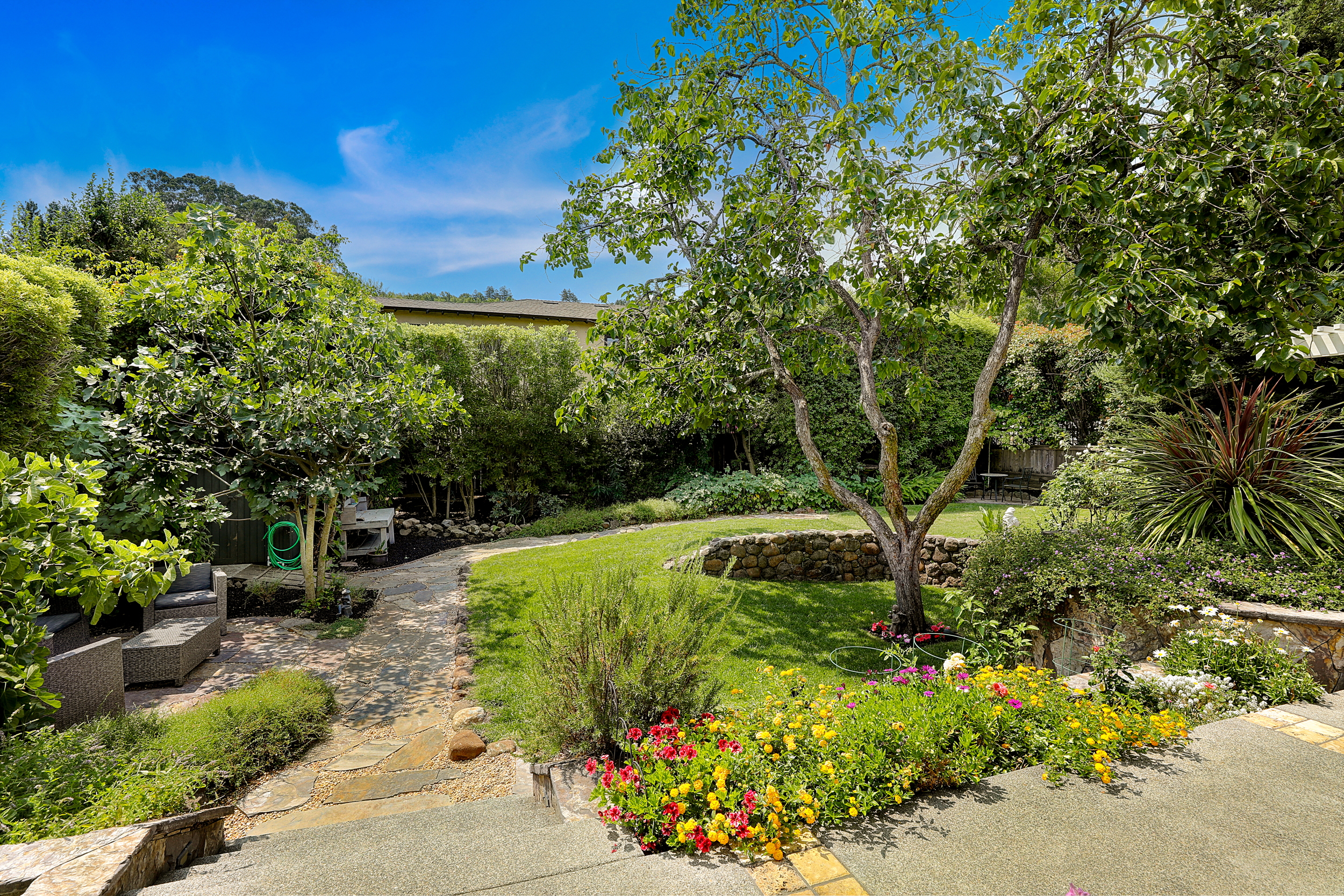 51Clorinda-2018-08 54 - Own Marin Pacific Union - Marin County Realtor.jpg