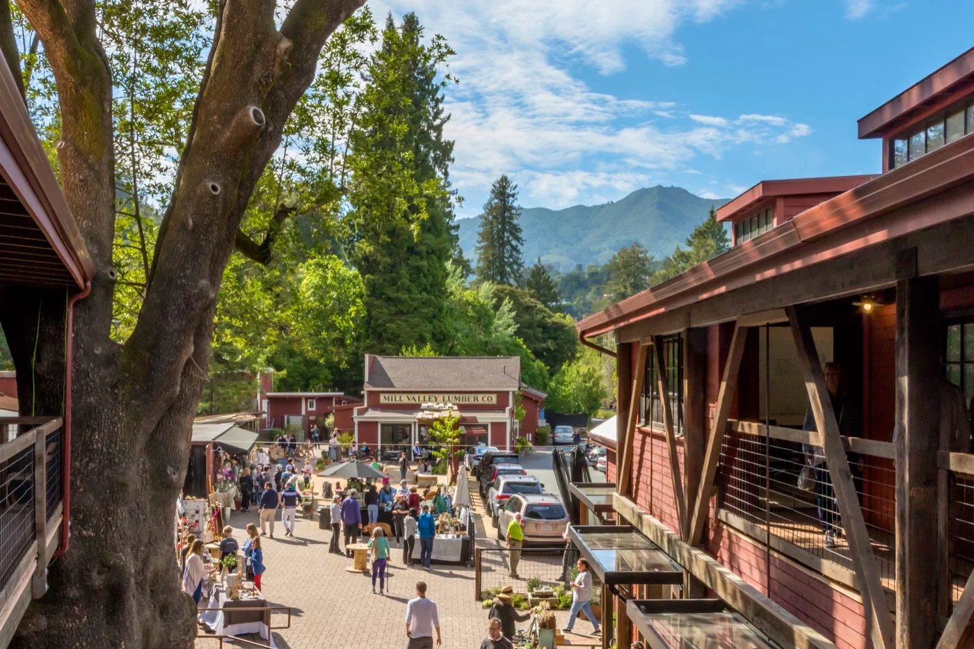 PHOTO COURTESY OF MILL VALLEY LUMBERYARD