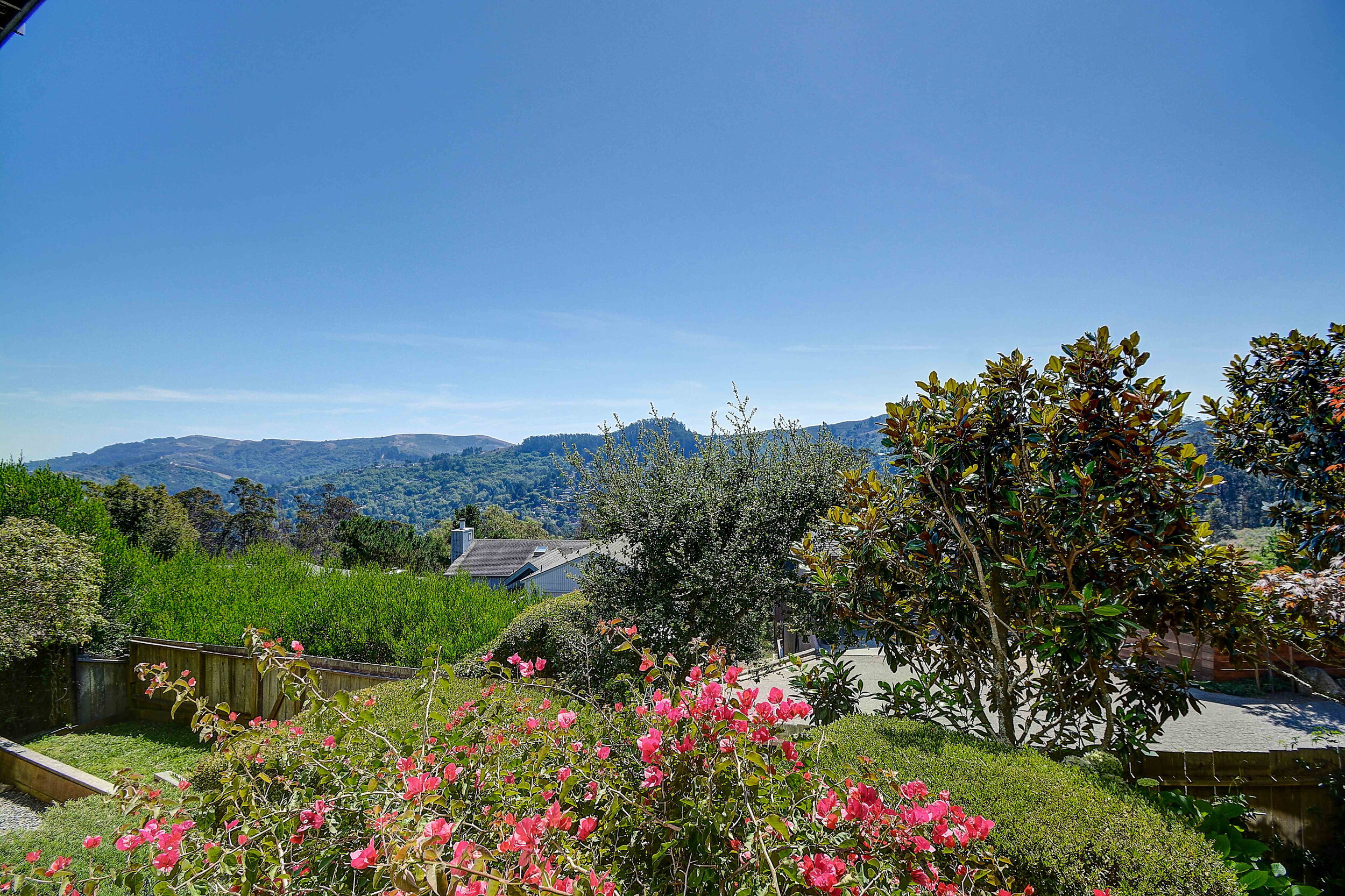 99 Skyline Terrace -48Mill Valley Real Estate - Listed by Own Marin County's #1 Realtor.jpg