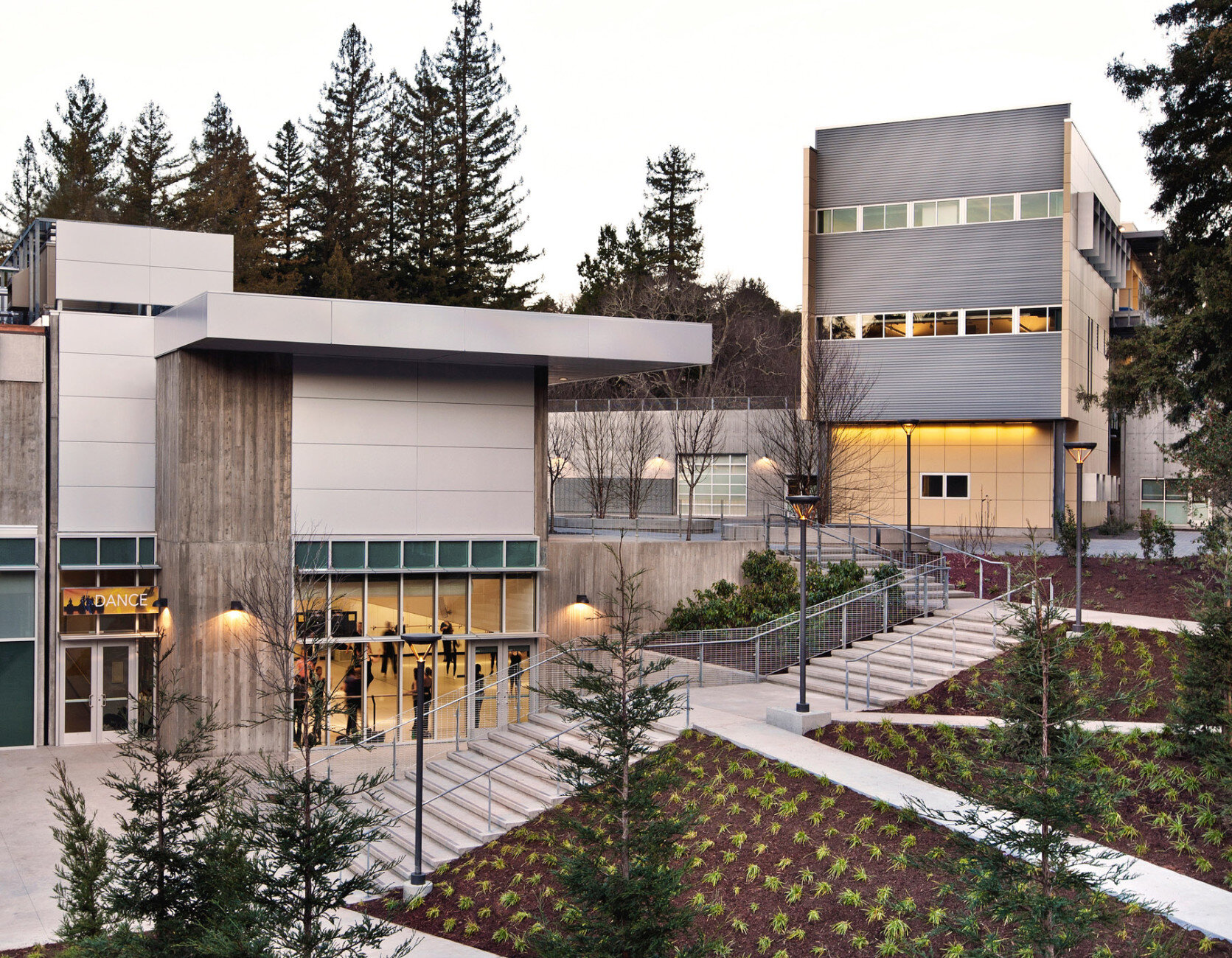 COLLEGE OF MARIN