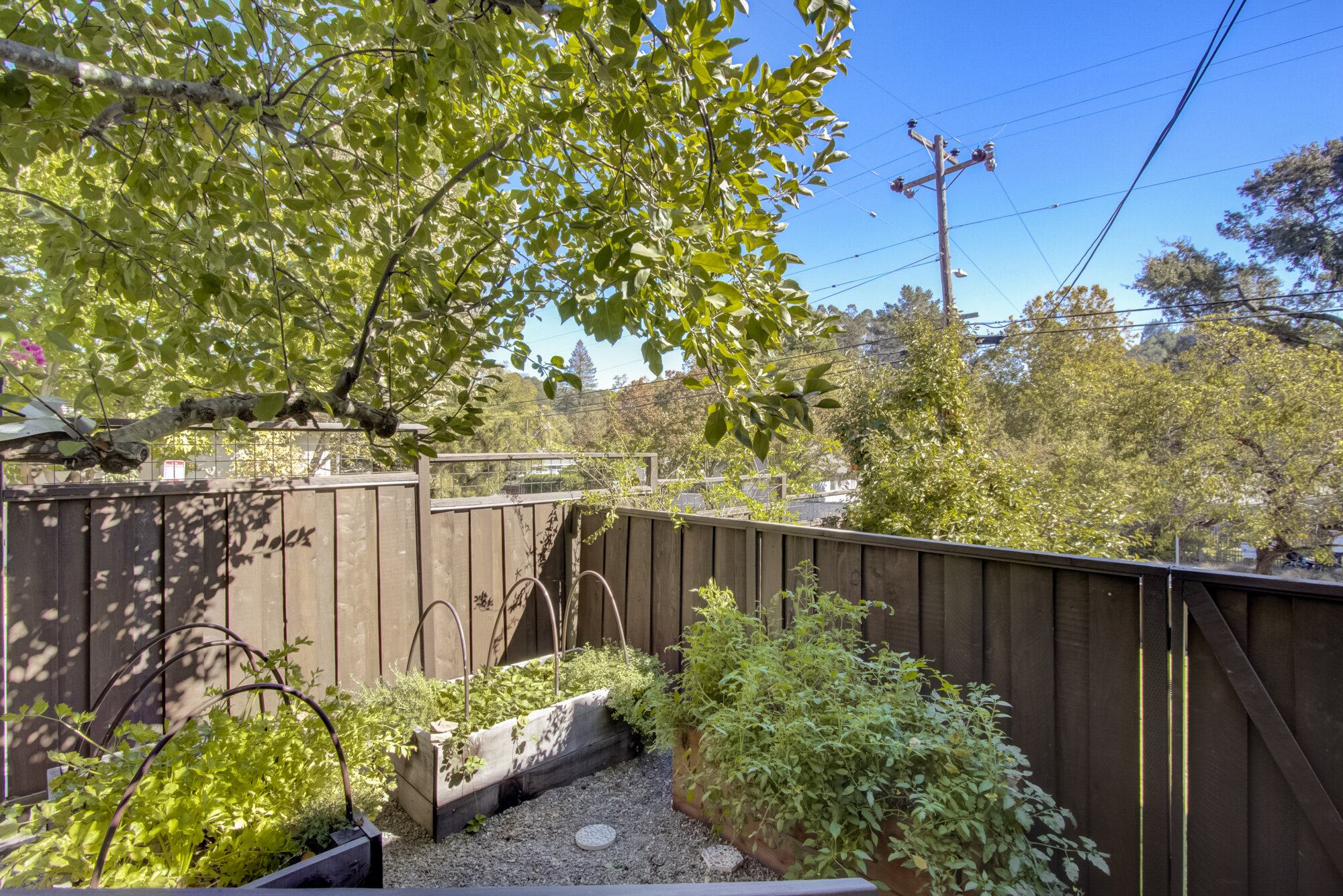 35 San Francisco Boulevard, San Anselmo Listed by Julia Fitzpatrick Own Marin-19.jpg