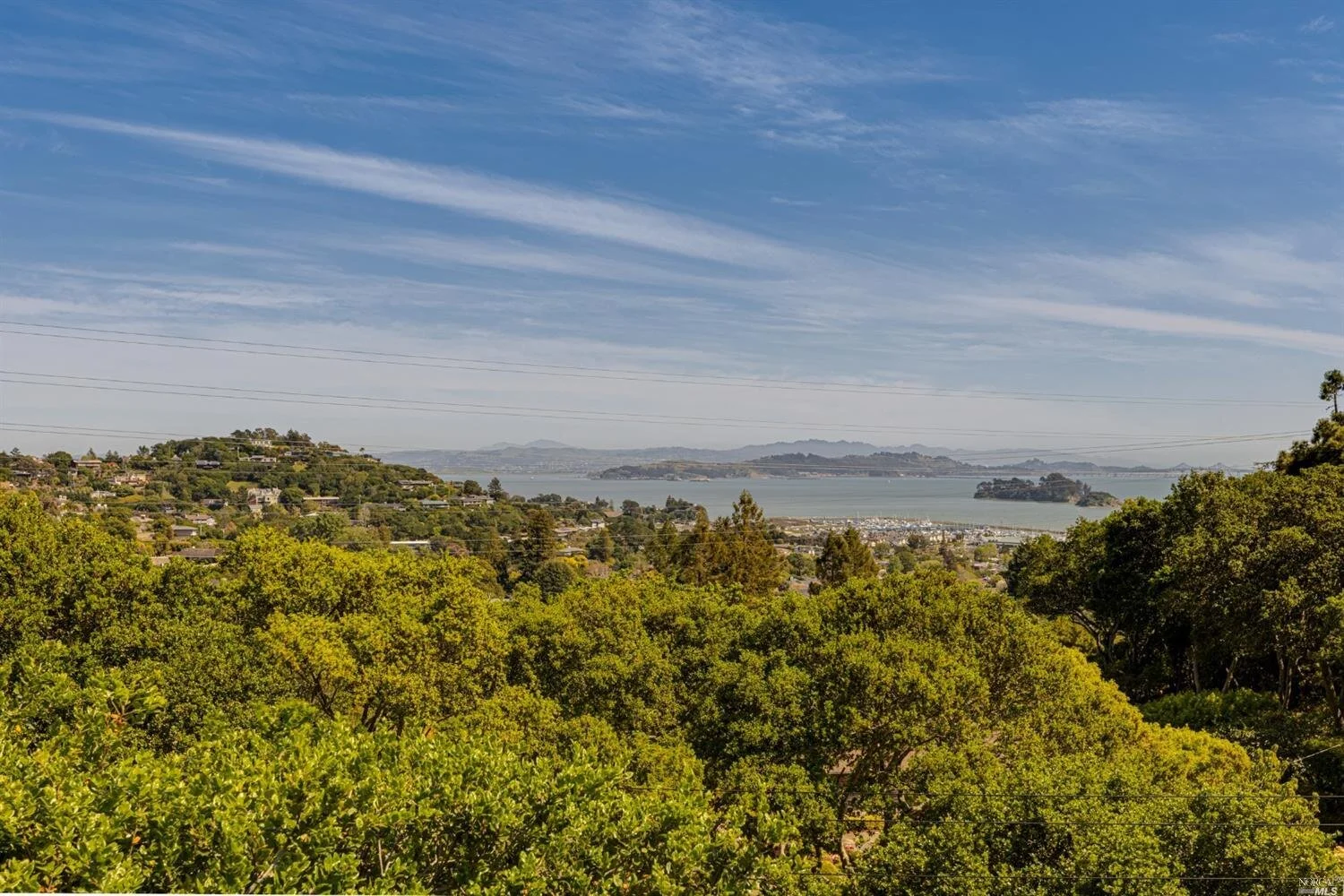 1 Morgan Lane, San Rafael $2.295M