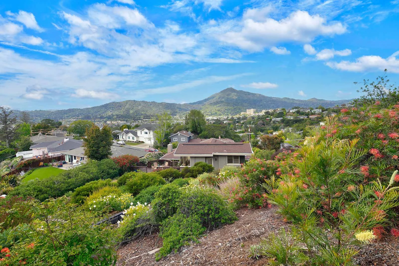27 Corte Toluca Greenbrae Real Estate For Sale by Own Marin Barr Haney-70.jpg