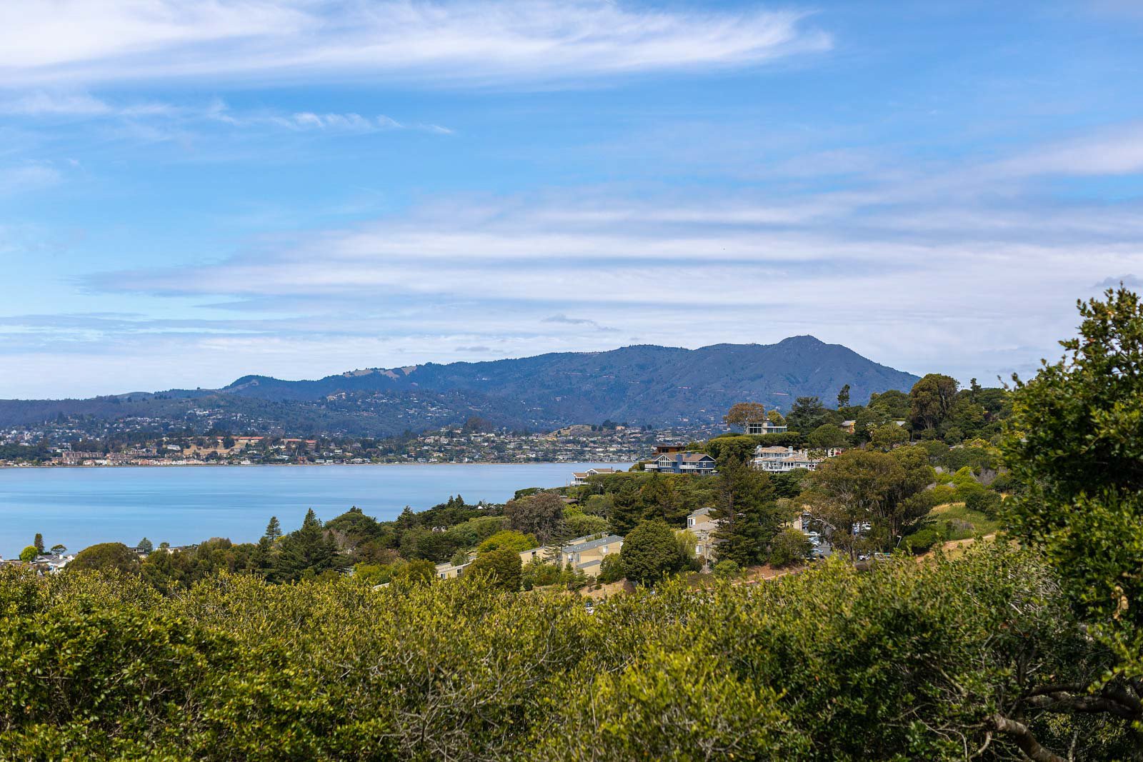20 Redhill Circle, Tiburon Real Estate for Sale _ Own Marin County's #1 Real Estate Team-36.jpg