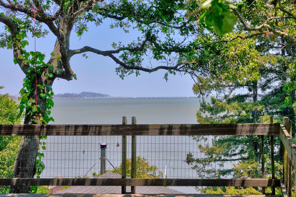 5080 Paradise Drive, Tiburon Real Estate for sale by Top Realtor Whitney Potter Own Marin-093.jpg