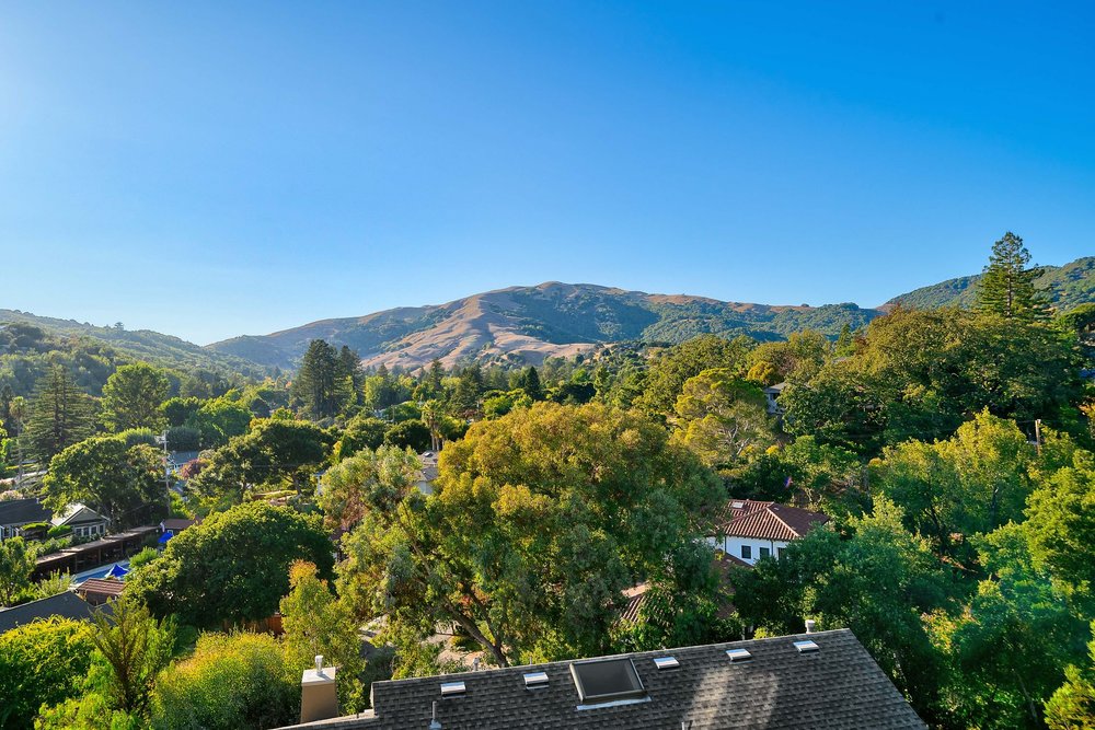 29 Martling Road San Anselmo For Sale with Real Estate Agent Whitney Blickman at Own Marin -38.jpg