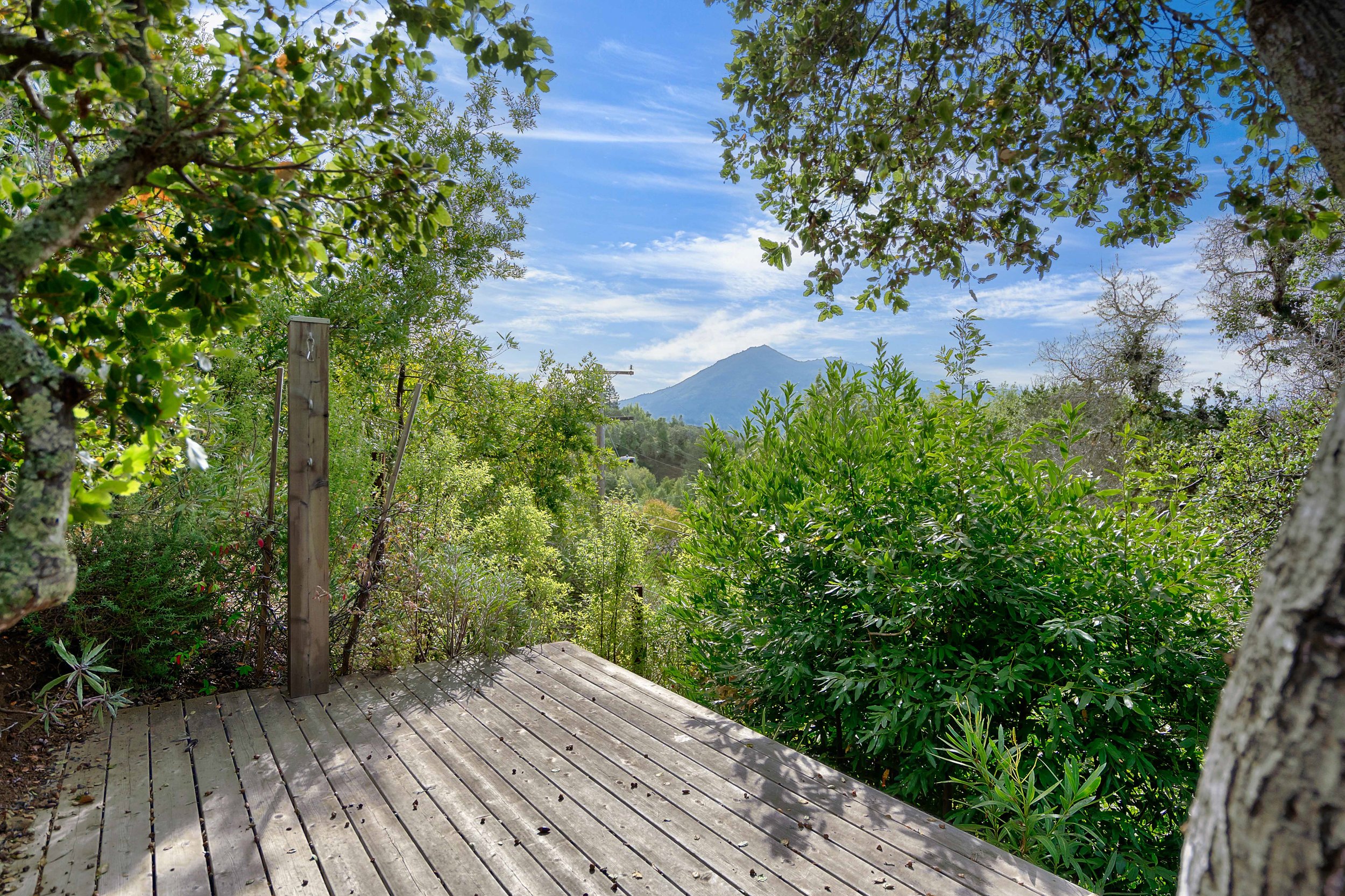 7 Meyer Road San Rafael Real Estate For Sale by Marin County Top Realtor Allie Fornesi at Own Marin Real Estate-38.jpg