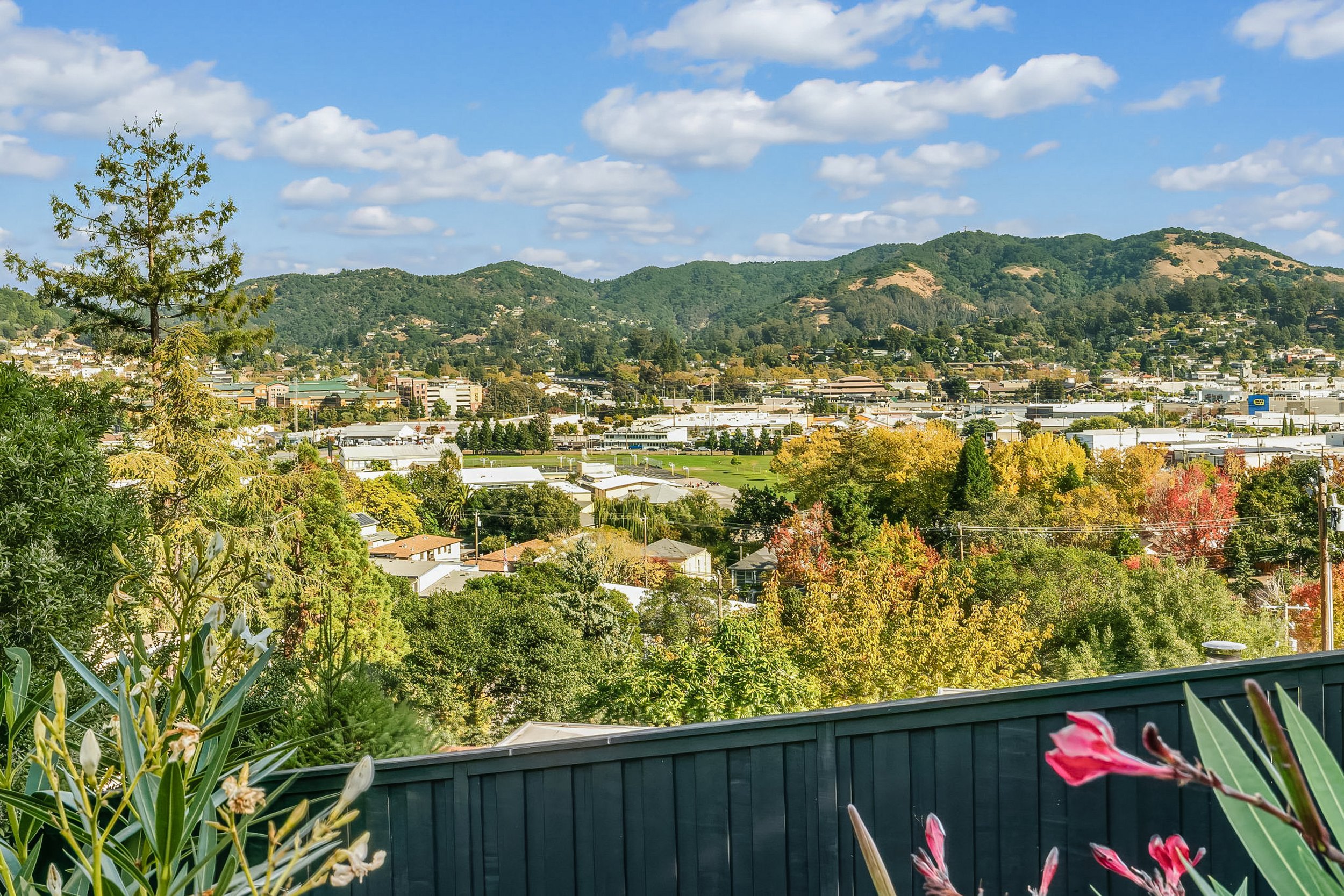 283 Bungalow Avenue San Rafael Real Estate For Sale by Top Realtor Michael Milano at Own Marin Real Estate-10.jpg