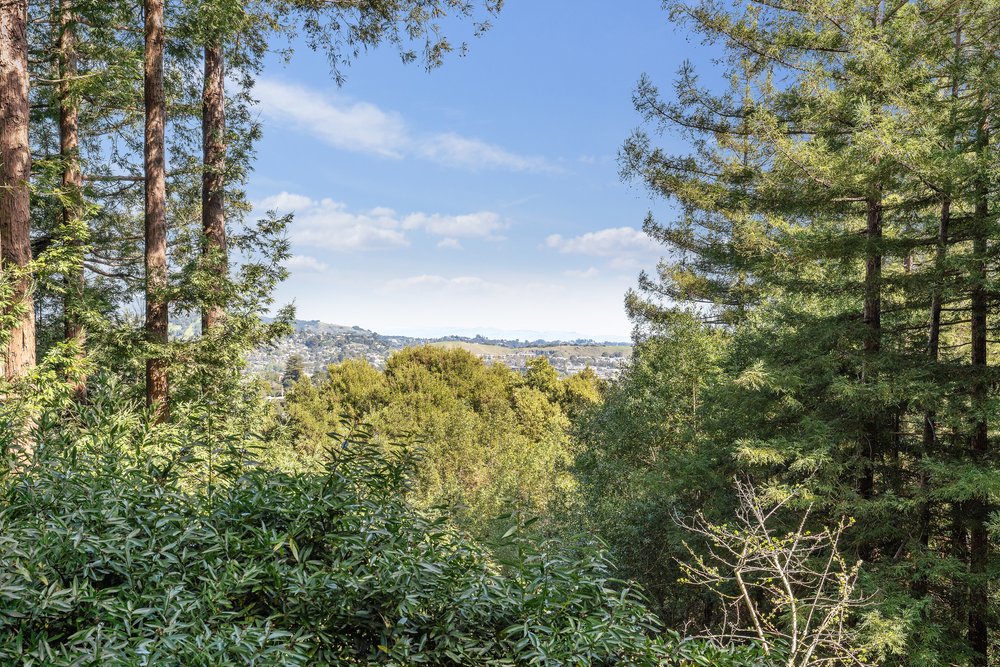 640 Redwood Avenue, Corte Madera Listed by Barr Haney at Own Marin Real Estate-72.jpg