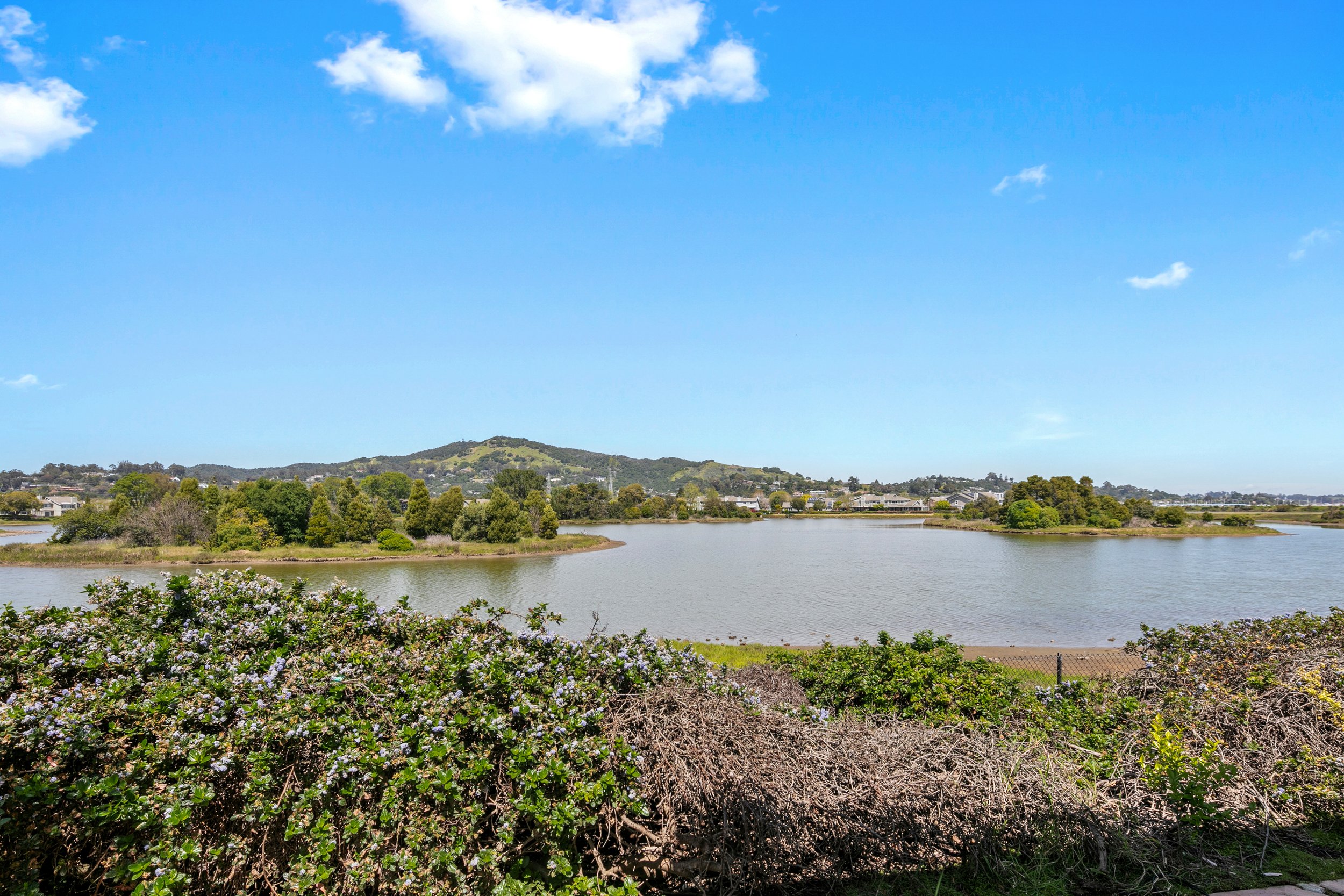 Baypoint Lagoons Homes for Sale - 25 Egret View San Rafael Listed by Allie Fornesi at Own Marin Real Estate-69.jpg