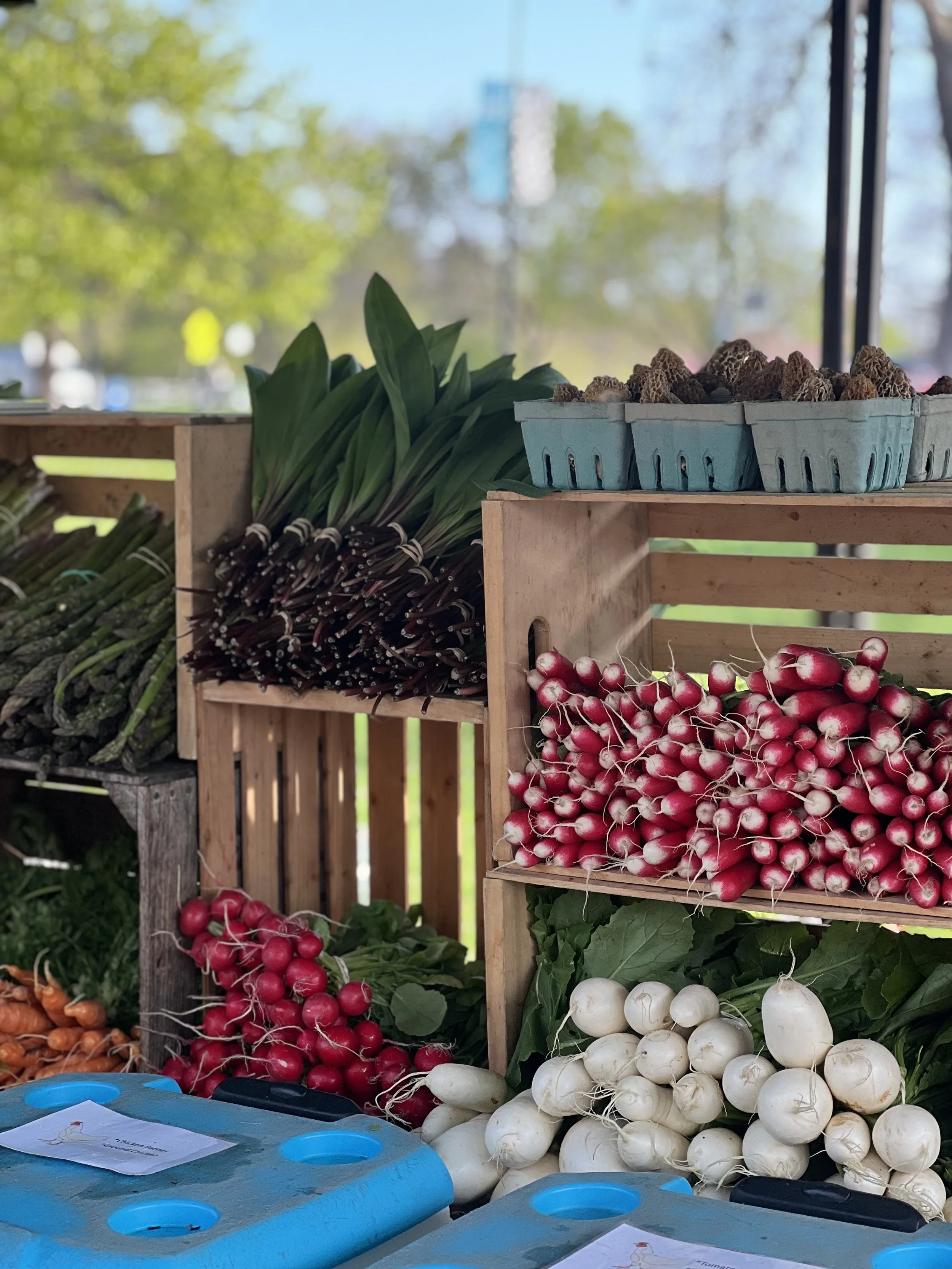 Your Guide to Novato's Farmers’ Markets