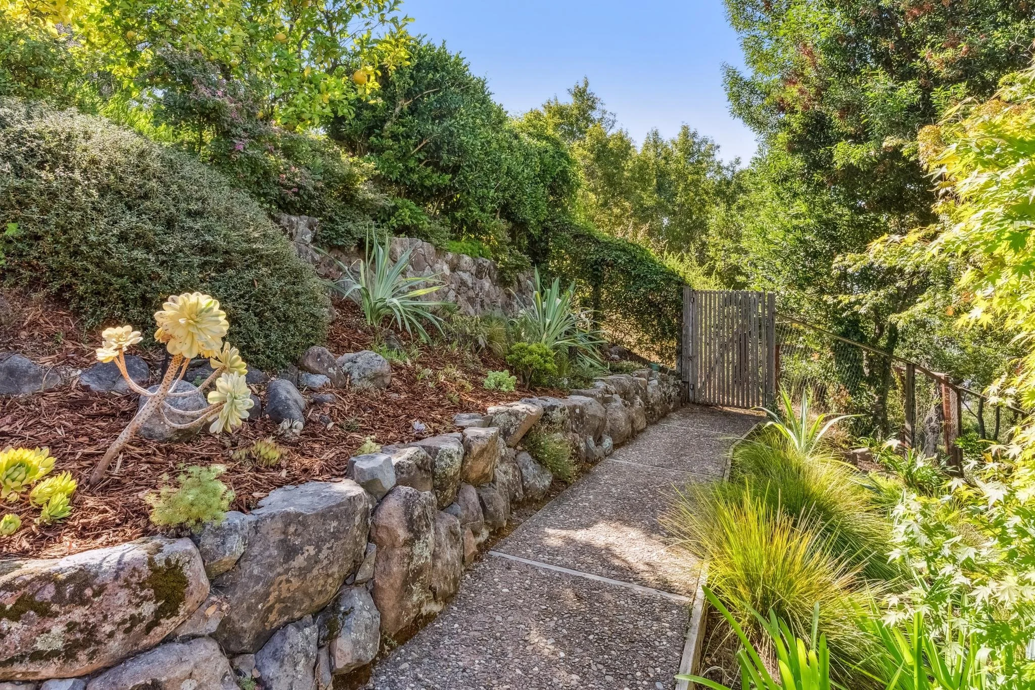 66 La Cuesta, Greenbrae For Sale by Barr Haney Own Marin | Marin County's #1 Real Estate Team2025-09-22 at 1.12.29 PM 67.web.jpg