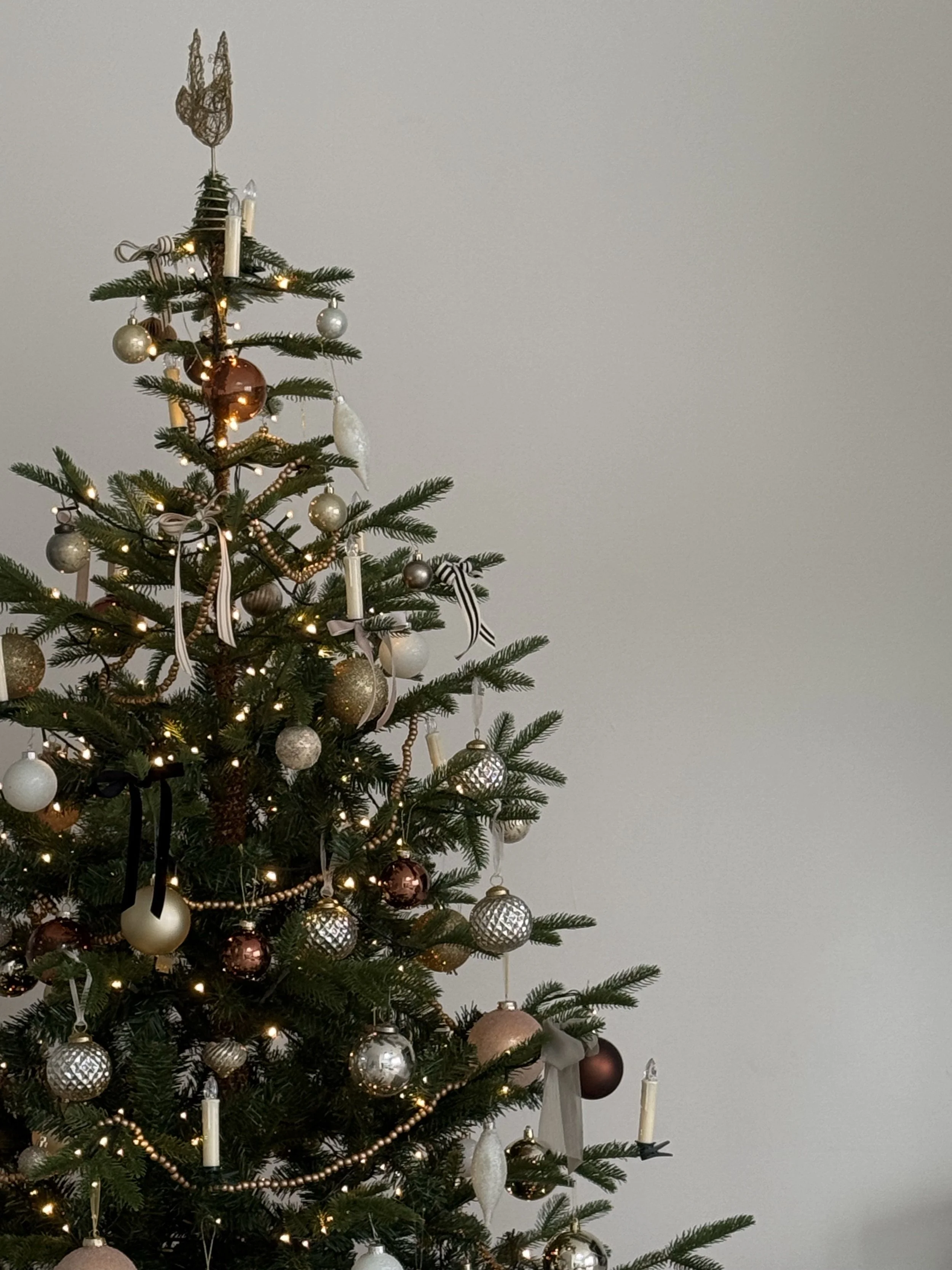  Your Guide to 2025 Holiday Events in Marin County: The Best Local Activities, Celebrations &amp; Traditions