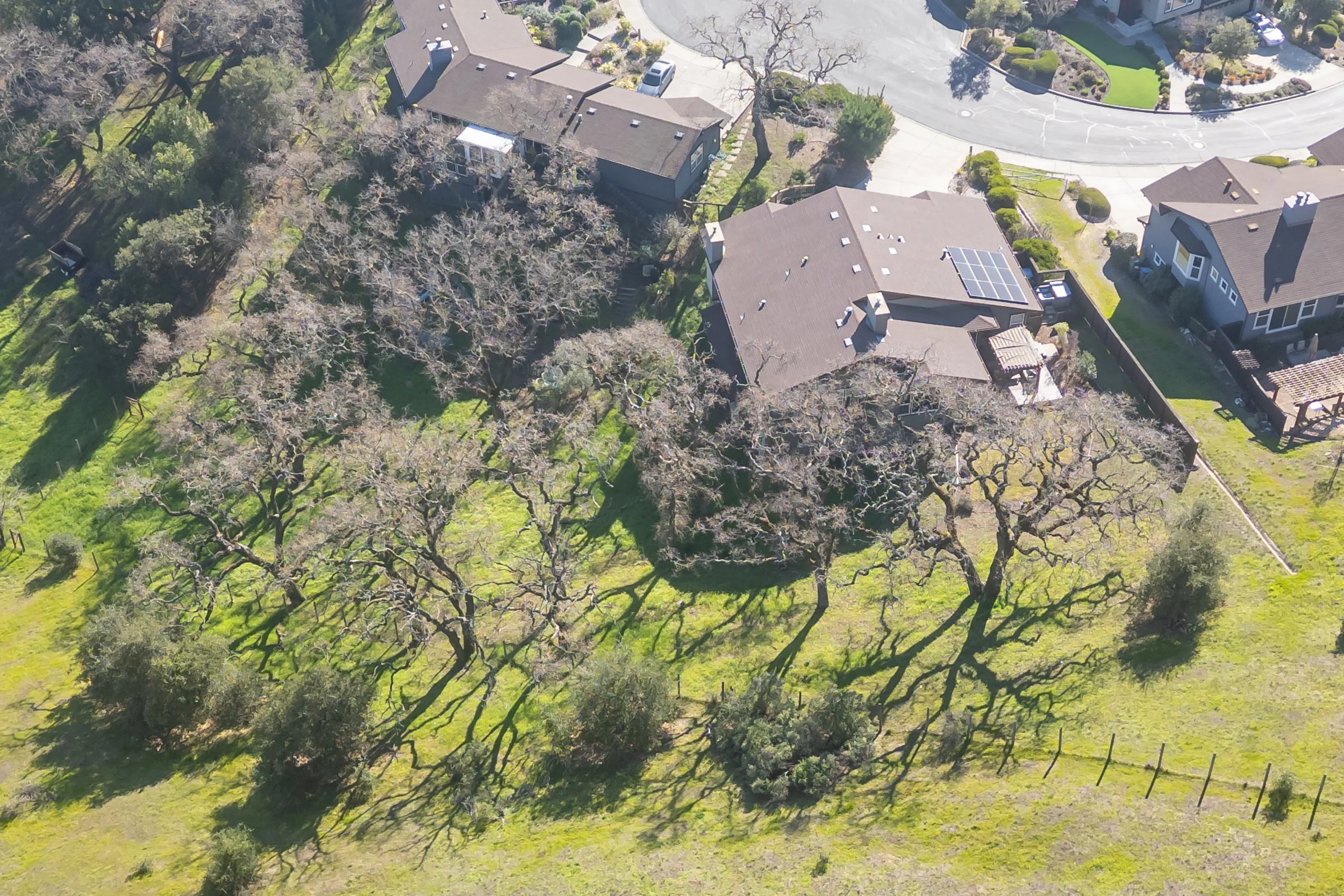 21 Winding Way, Novato For Sale by Michael Milano Own Marin | Marin County Top Realtor | Marin County's #1 Real Estate Team2026-01-19 at 4.40.50 PM 2.jpg