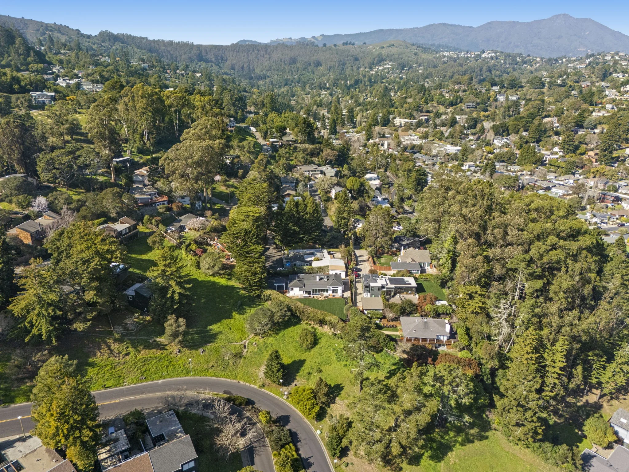 333 Richardson Way, Mill Valley For Sale by Miles Daly Own Marin | Marin County Top Realtor | Marin County's #1 Real Estate Team2026-02-06 at 10.20.44 AM 6.jpg