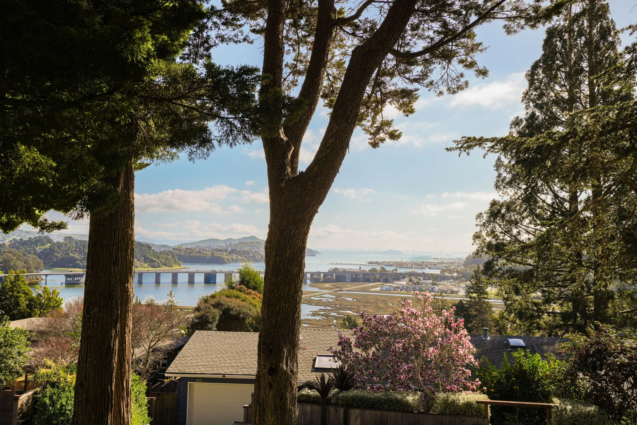 238 California Ave, Mill Valley For Sale by Whitney Potter Own Marin | Marin County Top Realtor | Marin County's #1 Real Estate Team2026-02-13 at 12.32.16 PM 7.jpg