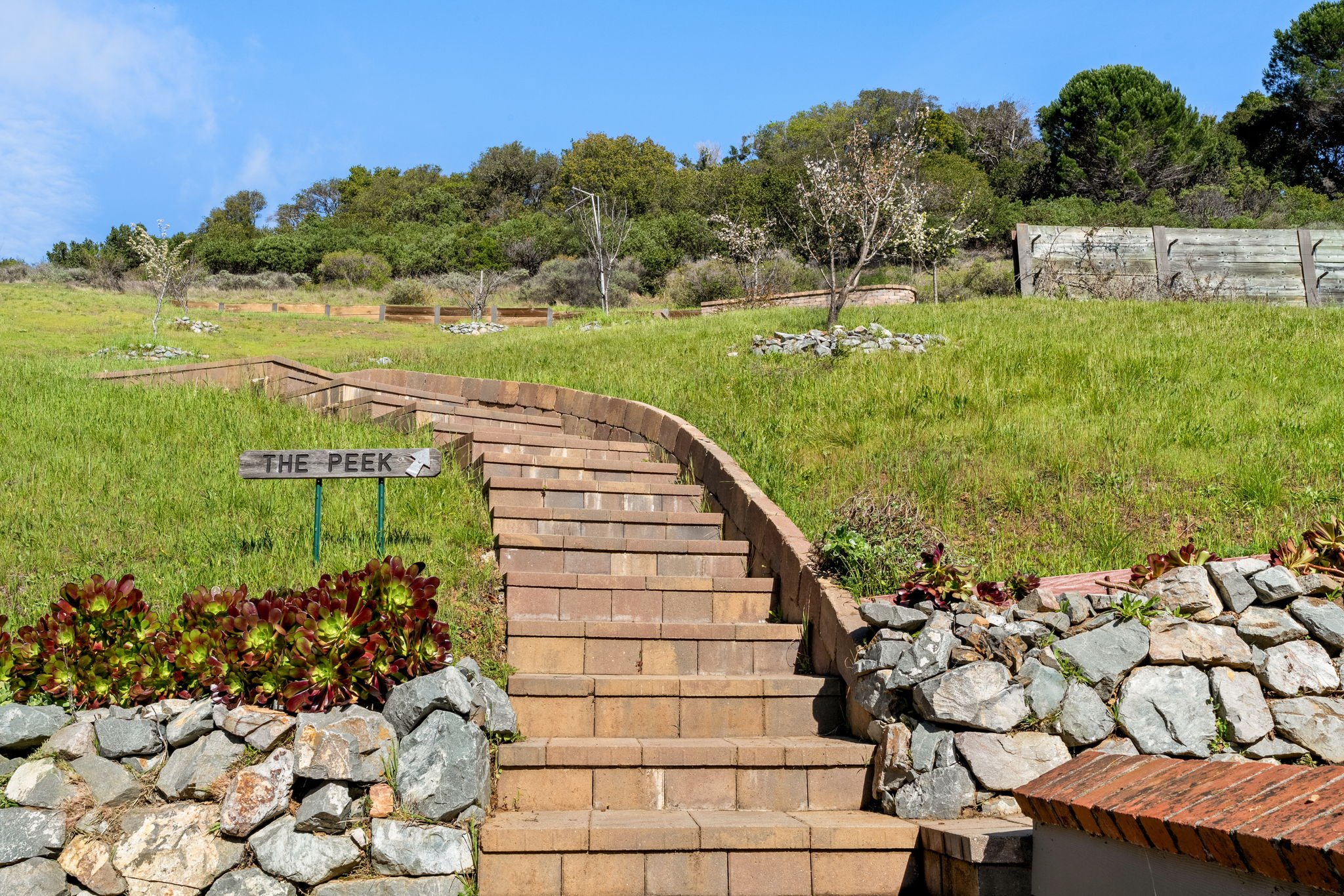 174 Main Drive, San Rafael For Sale by Nick Svenson & Barr Haney Own Marin | Marin County Top Realtors | Marin County's #1 Real Estate Team2026-02-17 at 1.33.36 PM 55.jpg