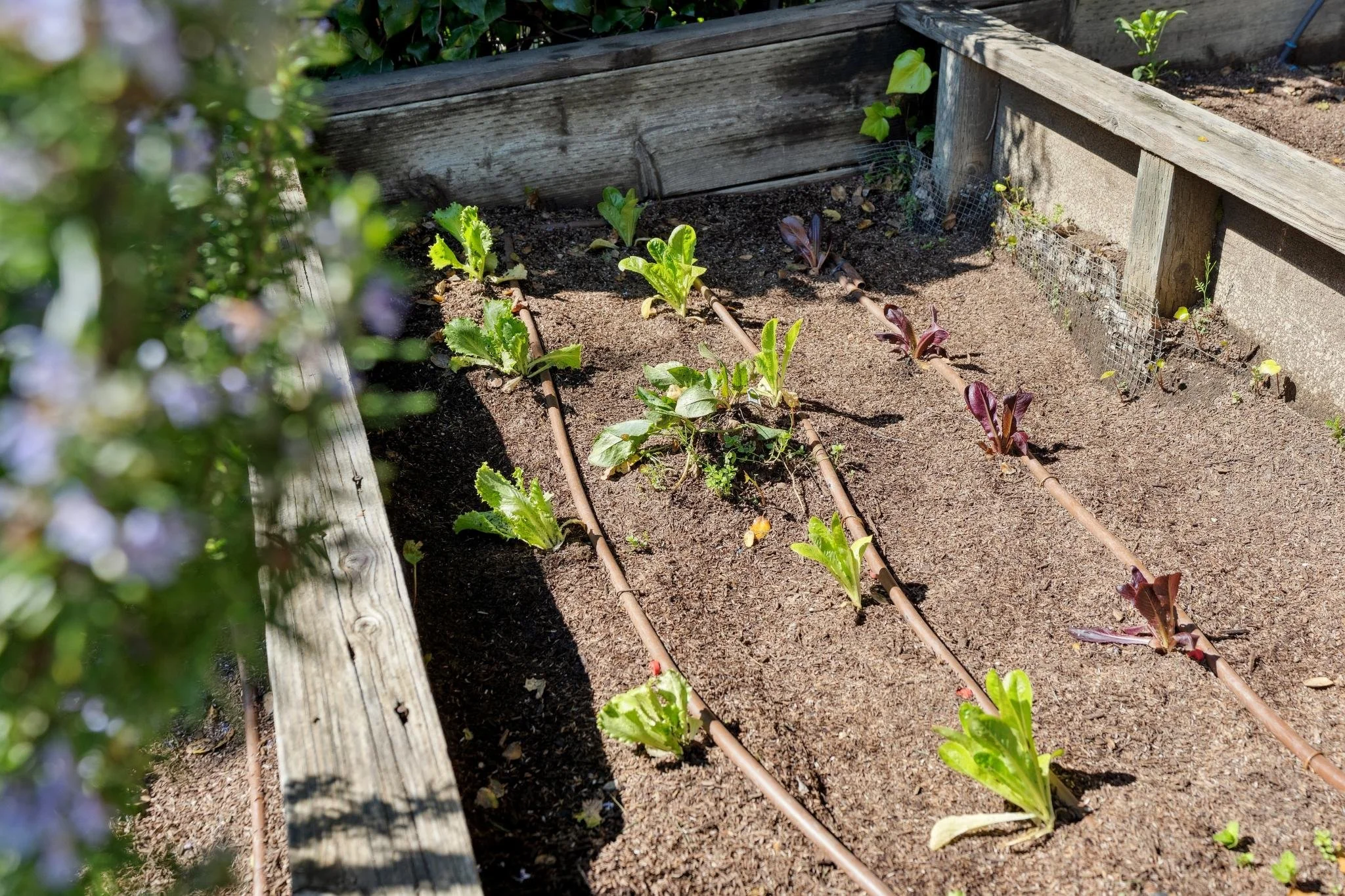 119 Bretano Way, Greenbrae For Sale by Barr Haney & Kimberly Kadesh | Own Marin | Marin County Top Realtors | Marin County's #1 Real Estate Team2026-03-02 at 8.55.09 AM 79.web.jpg