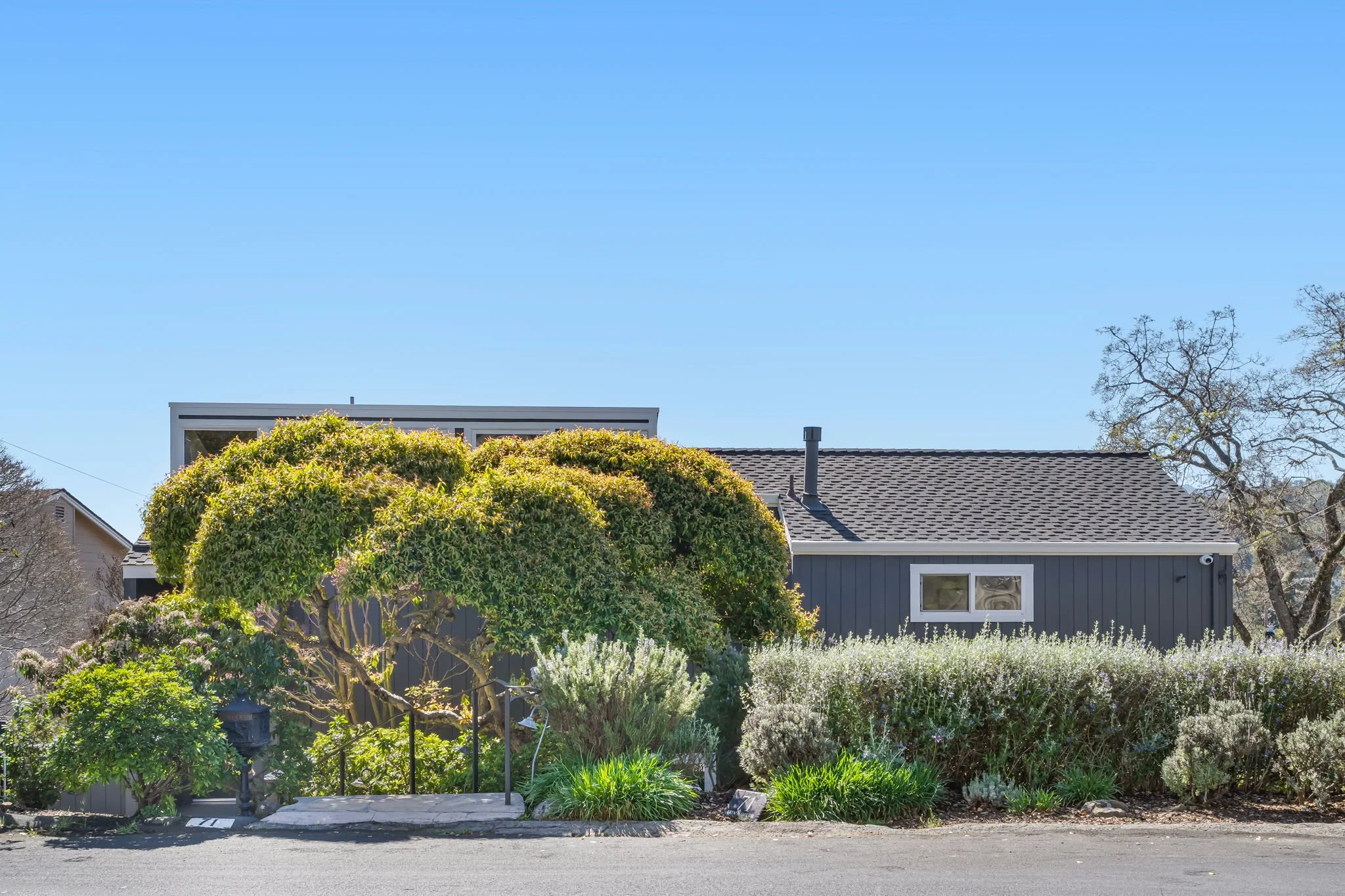 71 Bryn Mawr Drive, San Rafael For Sale by Whitney Potter | Own Marin | Marin County Top Realtors | Marin County's #1 Real Estate Team2026-03-04 at 1.58.29 PM 2.jpg