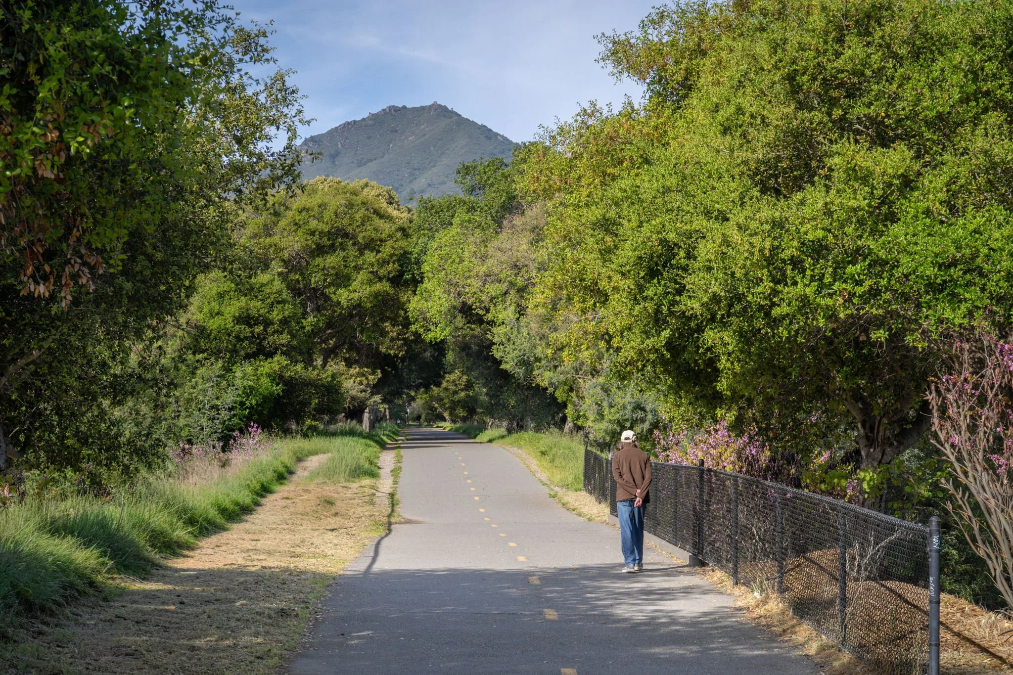 35 Palm Ave, Corte Madera For Sale by Whitney Potter | Own Marin | Marin County Top Realtors | Marin County's #1 Real Estate Team2026-03-15 at 8.54.34 AM 53.jpg