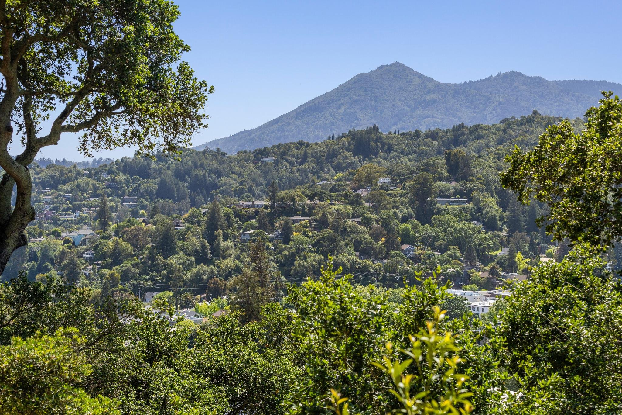 180 El Cerrito Ave, San Rafael For Sale by Whitney Potter | Own Marin | Marin County Top Realtors | Marin County's #1 Real Estate Team2026-03-18 at 4.16.50 PM 57.web.jpg