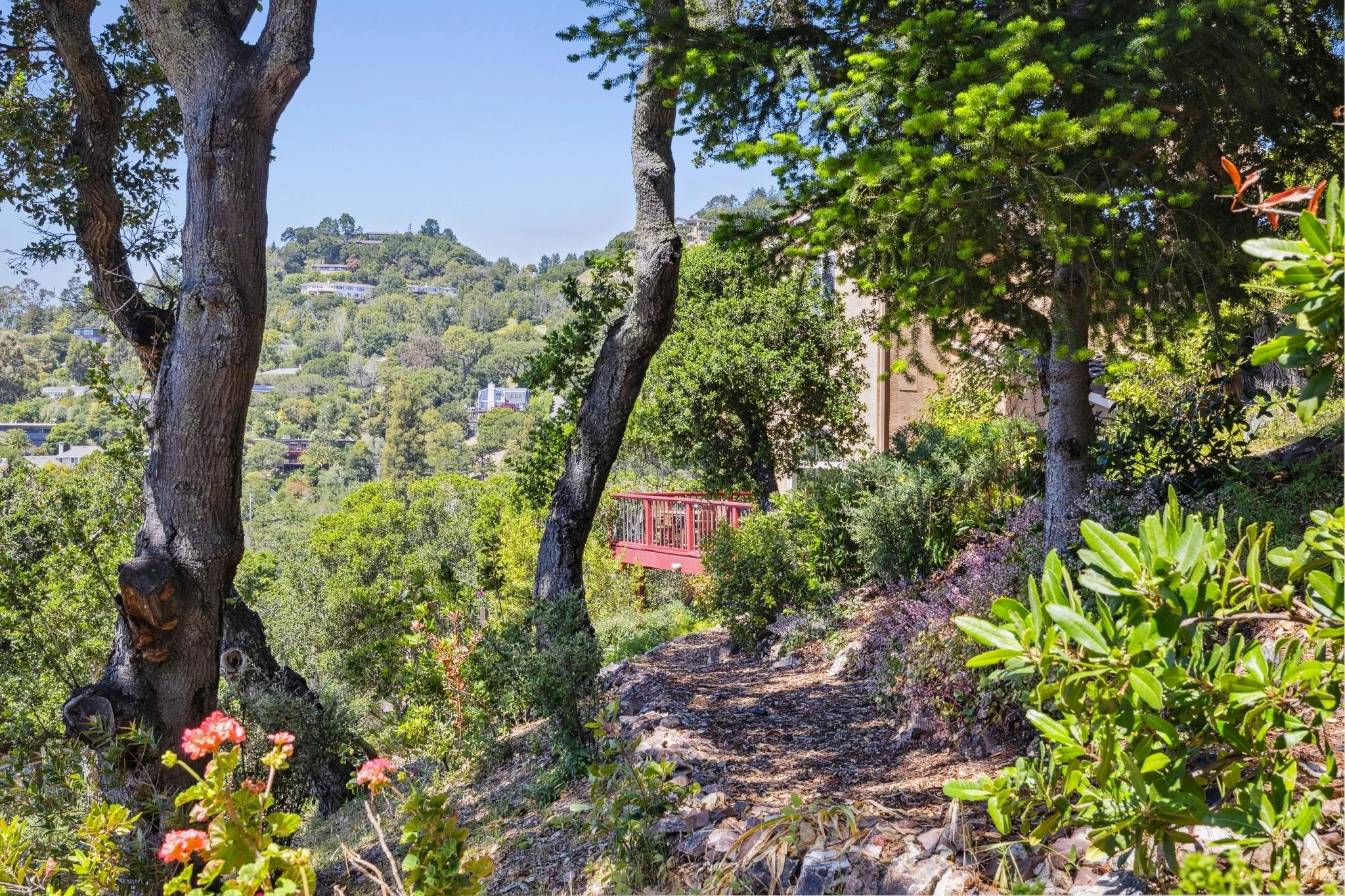 180 El Cerrito Ave, San Rafael For Sale by Whitney Potter | Own Marin | Marin County Top Realtors | Marin County's #1 Real Estate Team2026-03-18 at 4.16.50 PM 84.web.jpg