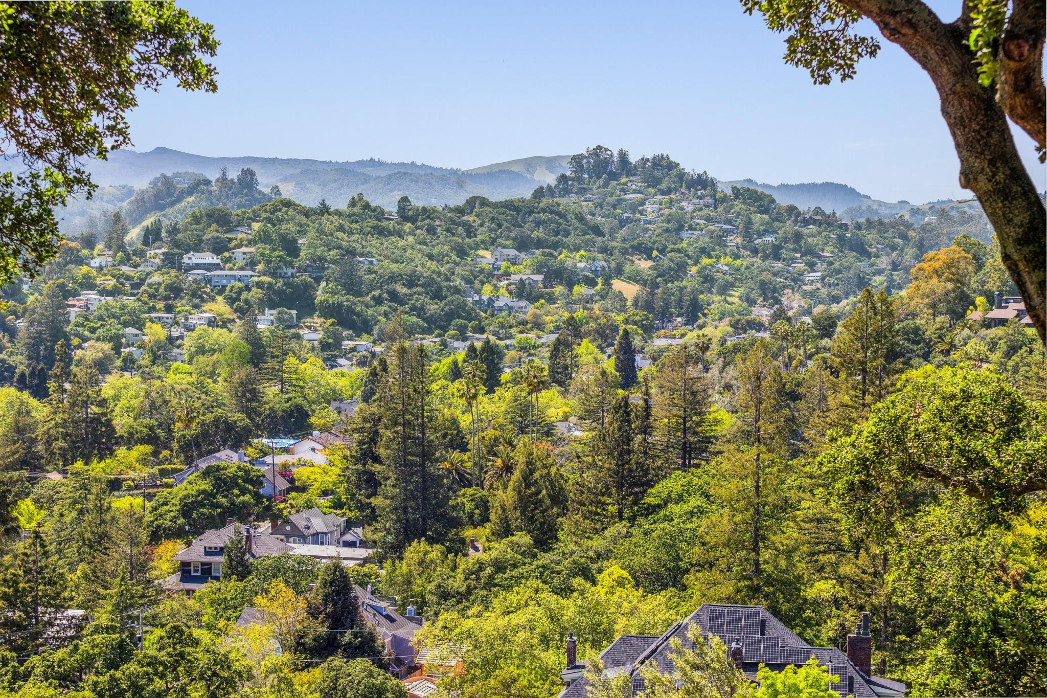 180 El Cerrito Ave, San Rafael For Sale by Whitney Potter | Own Marin | Marin County Top Realtors | Marin County's #1 Real Estate Team2026-03-18 at 4.16.50 PM 93.web.jpg