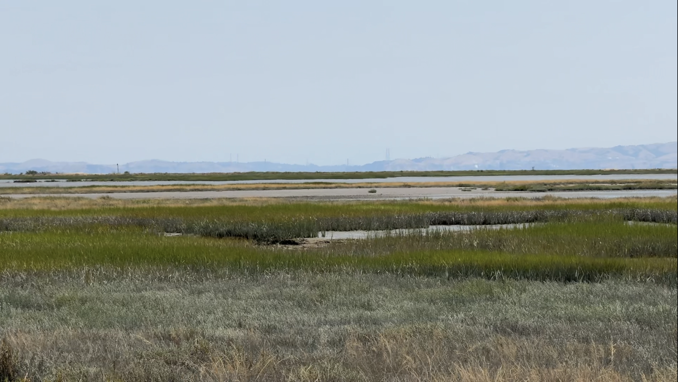 5 Spring Hikes for Families in Novato