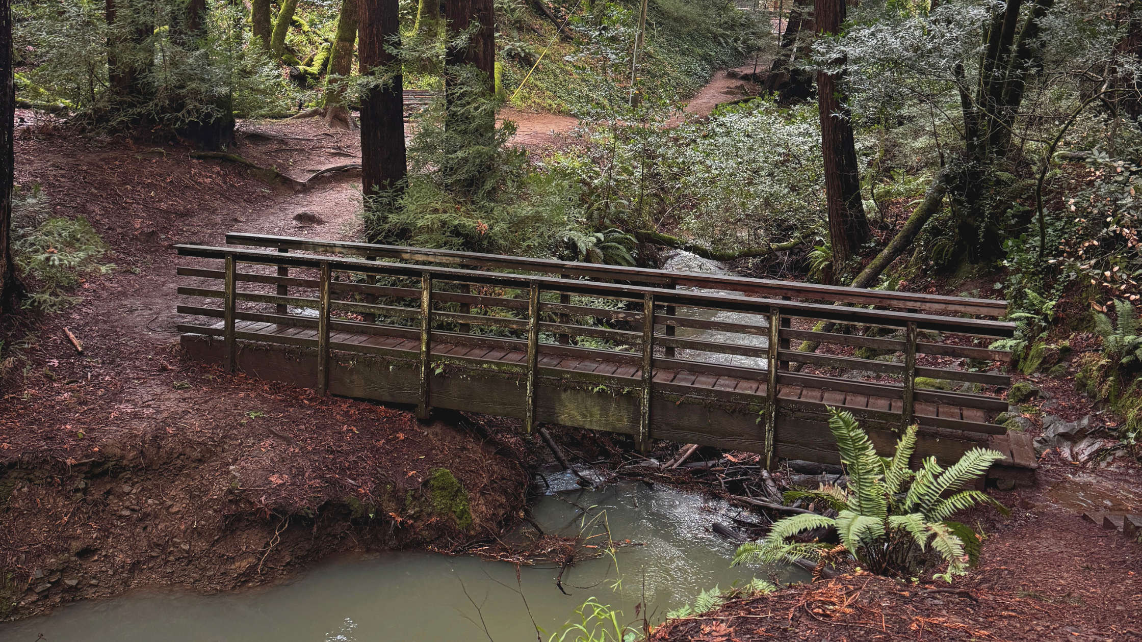 5 Spring Hikes for Families in Larkspur